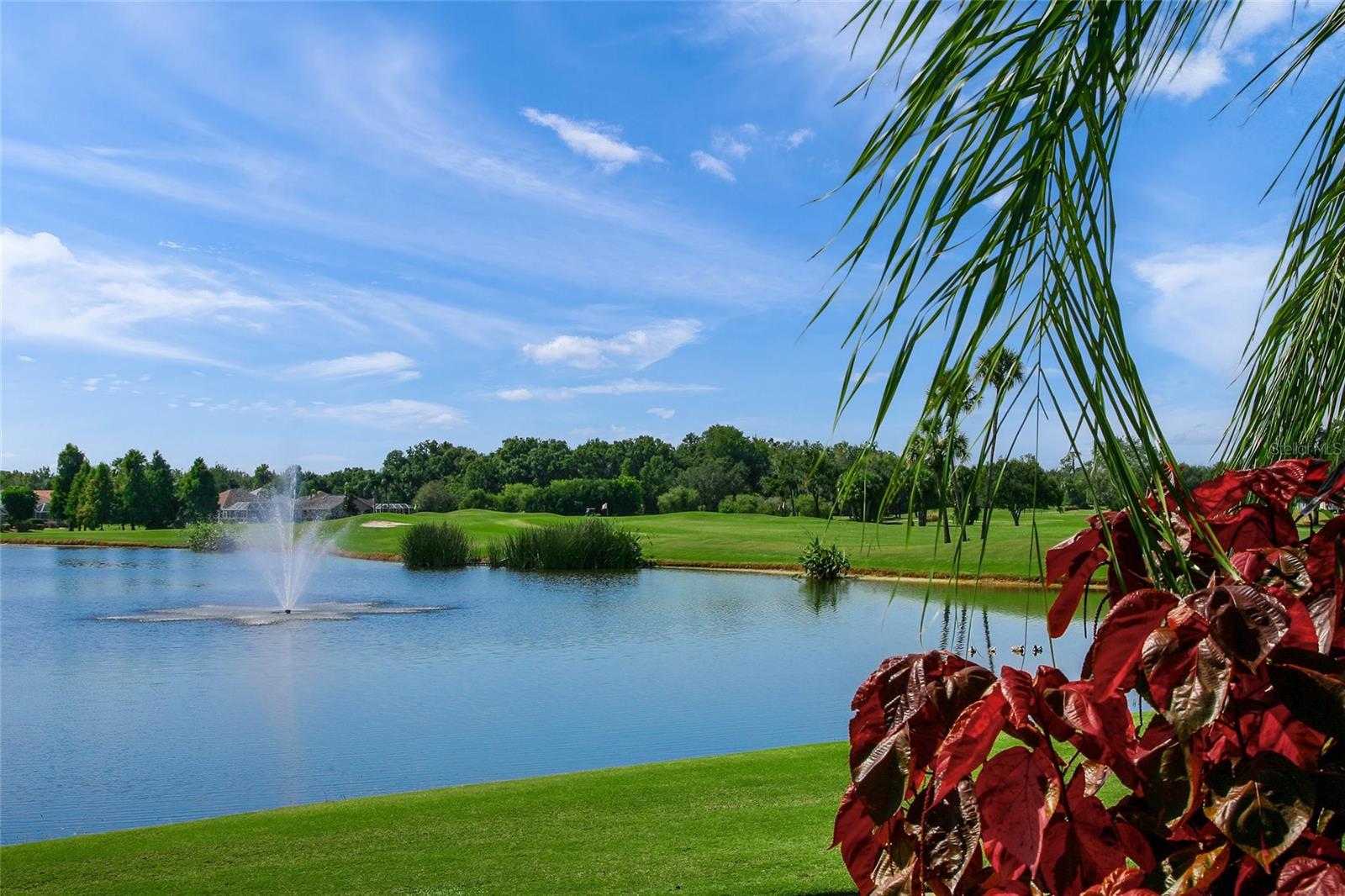 Image 55 of 55 For 5528 Fair Oaks Street