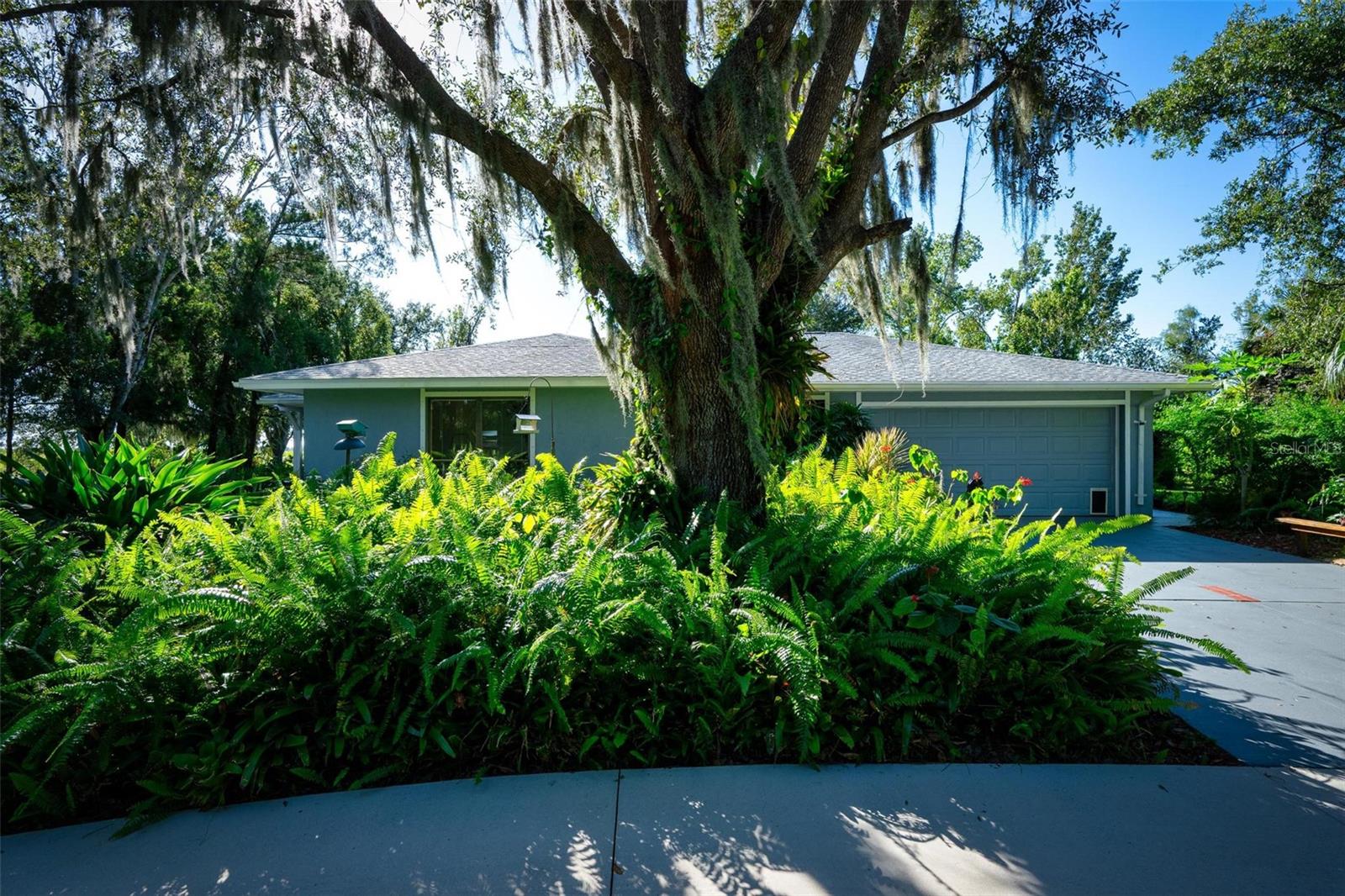 Image 10 of 93 For 4939 Myakka Valley Trail