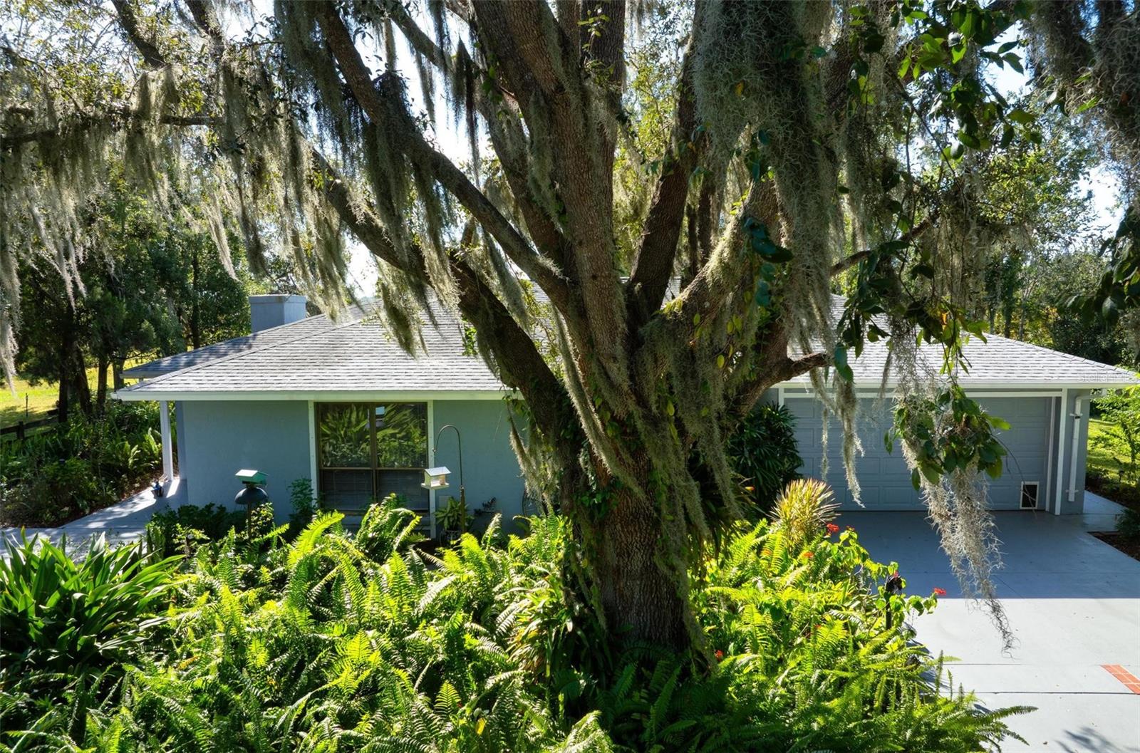 Image 11 of 93 For 4939 Myakka Valley Trail