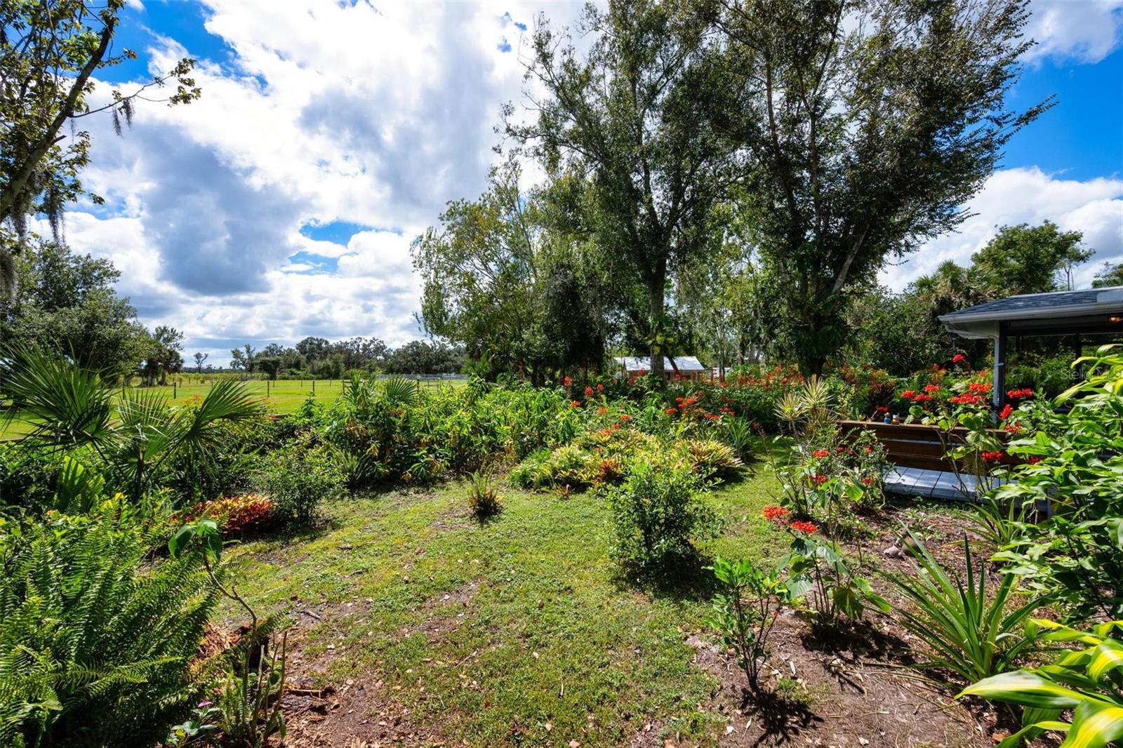 Image 13 of 93 For 4939 Myakka Valley Trail