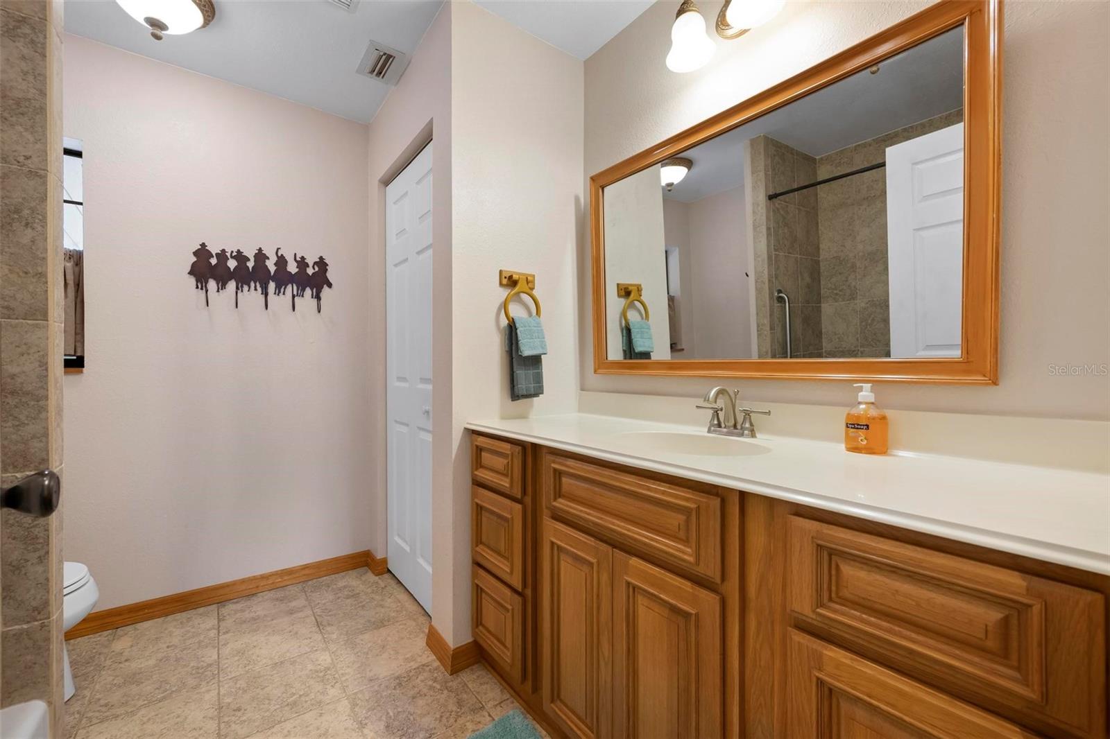 Image 52 of 93 For 4939 Myakka Valley Trail