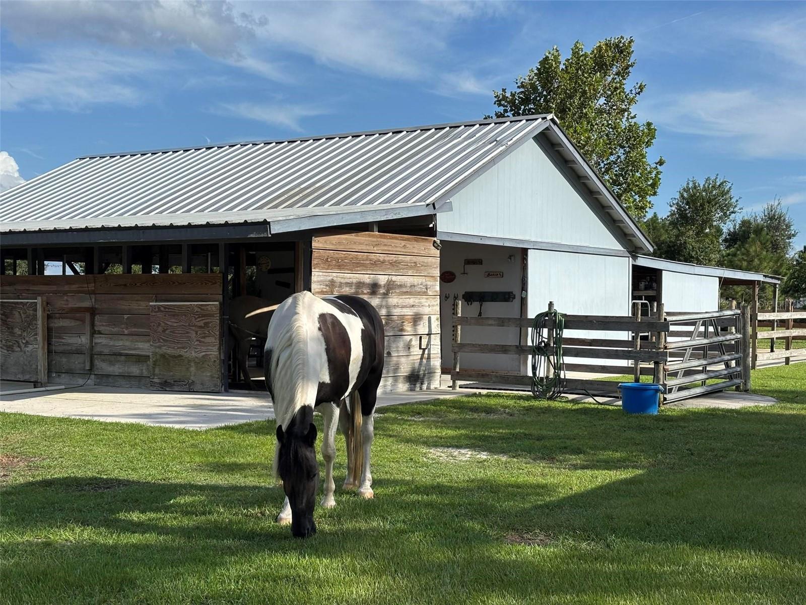 Image 66 of 93 For 4939 Myakka Valley Trail