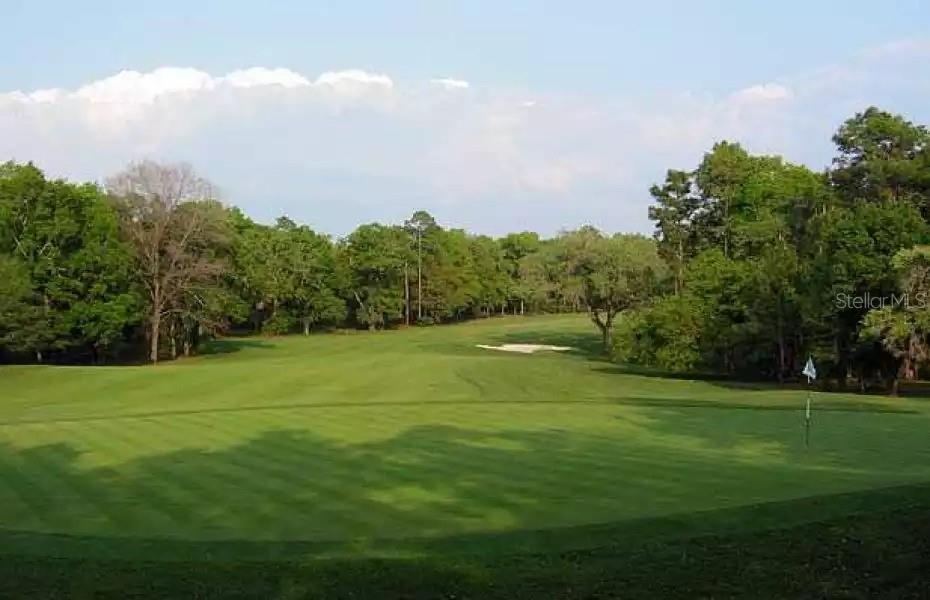 Image 29 of 34 For 4480 Ironwood Circle 217a