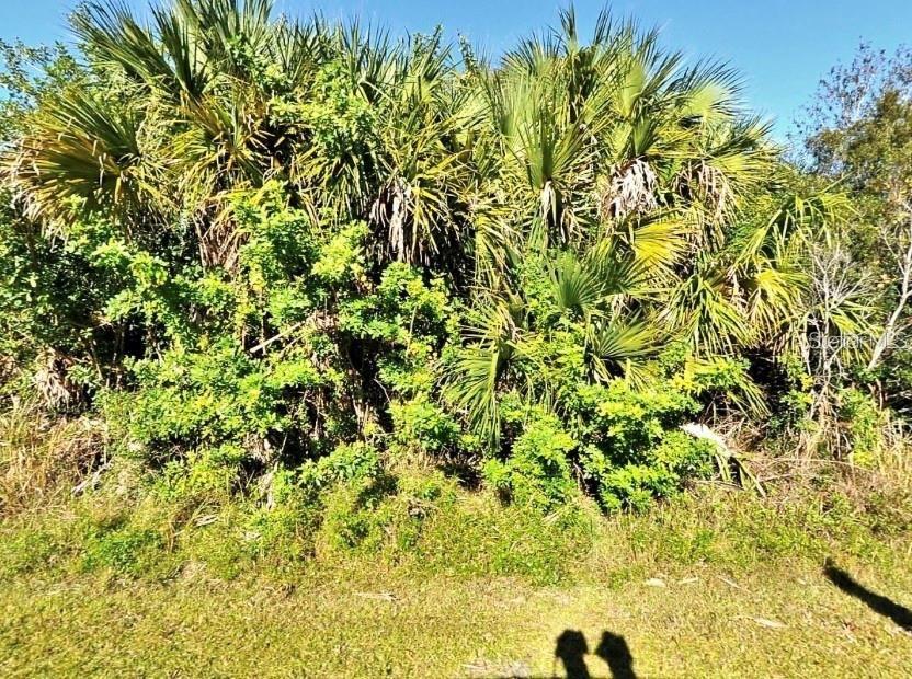 Details for Everett Terrace, NORTH PORT, FL 34286