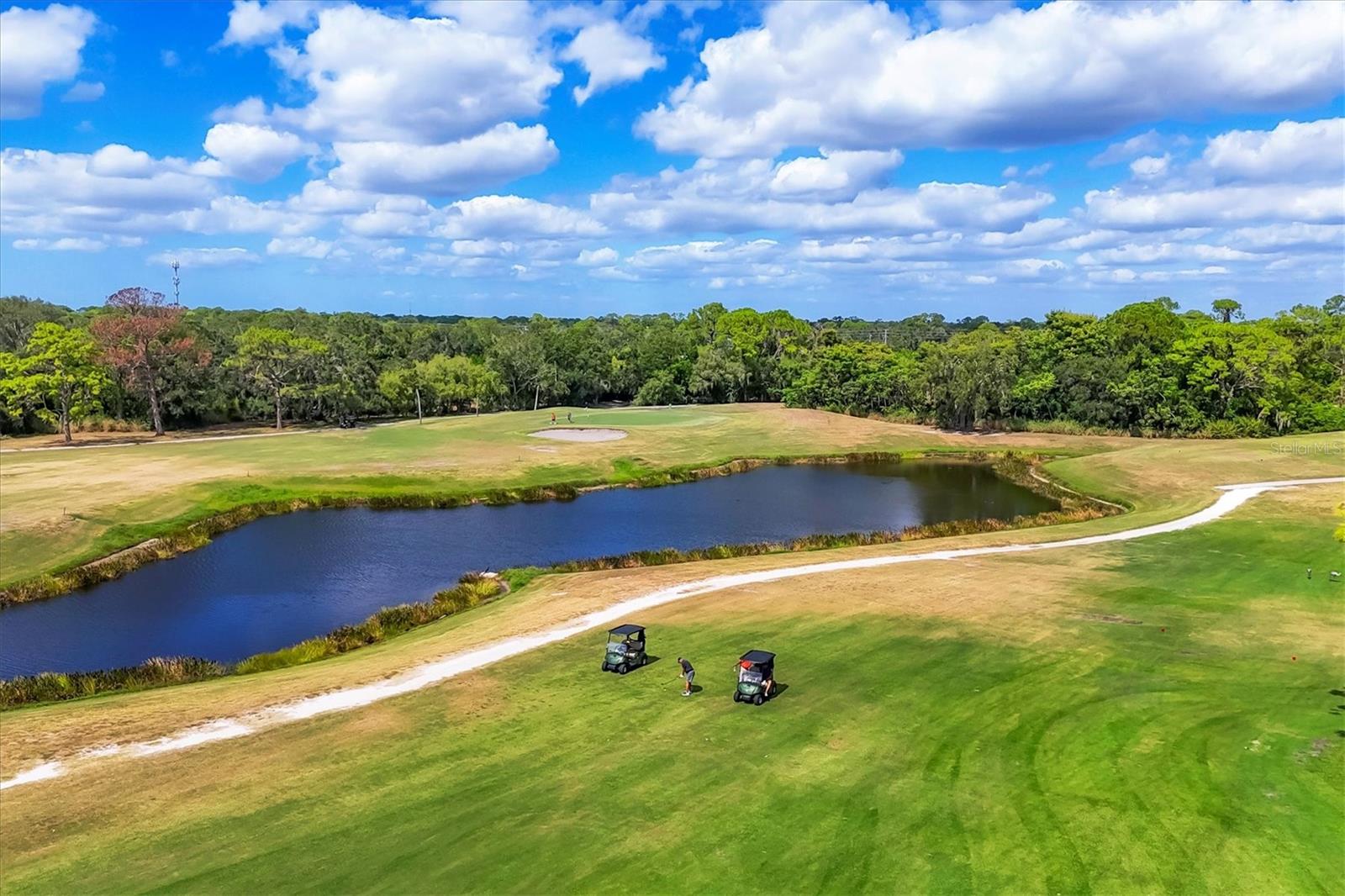 Image 53 of 54 For 7829 Birdie Bend Way