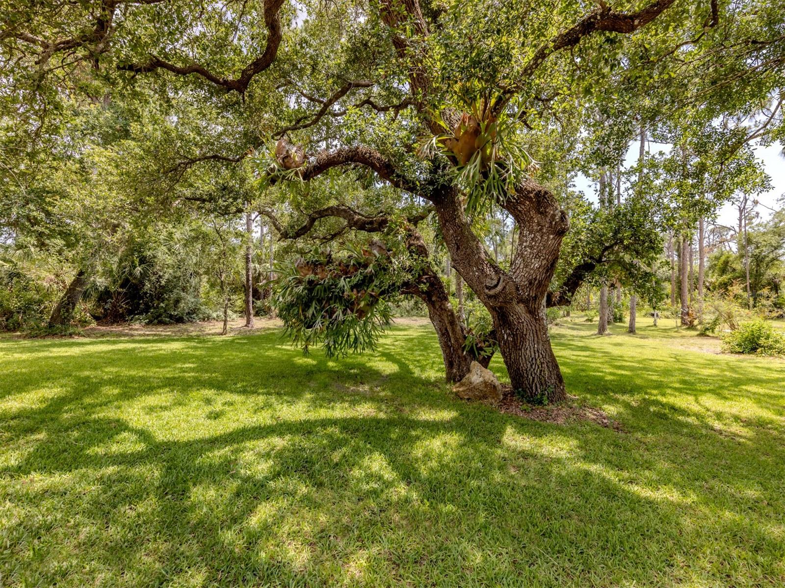 Image 36 of 76 For 1401 Pelican Lane