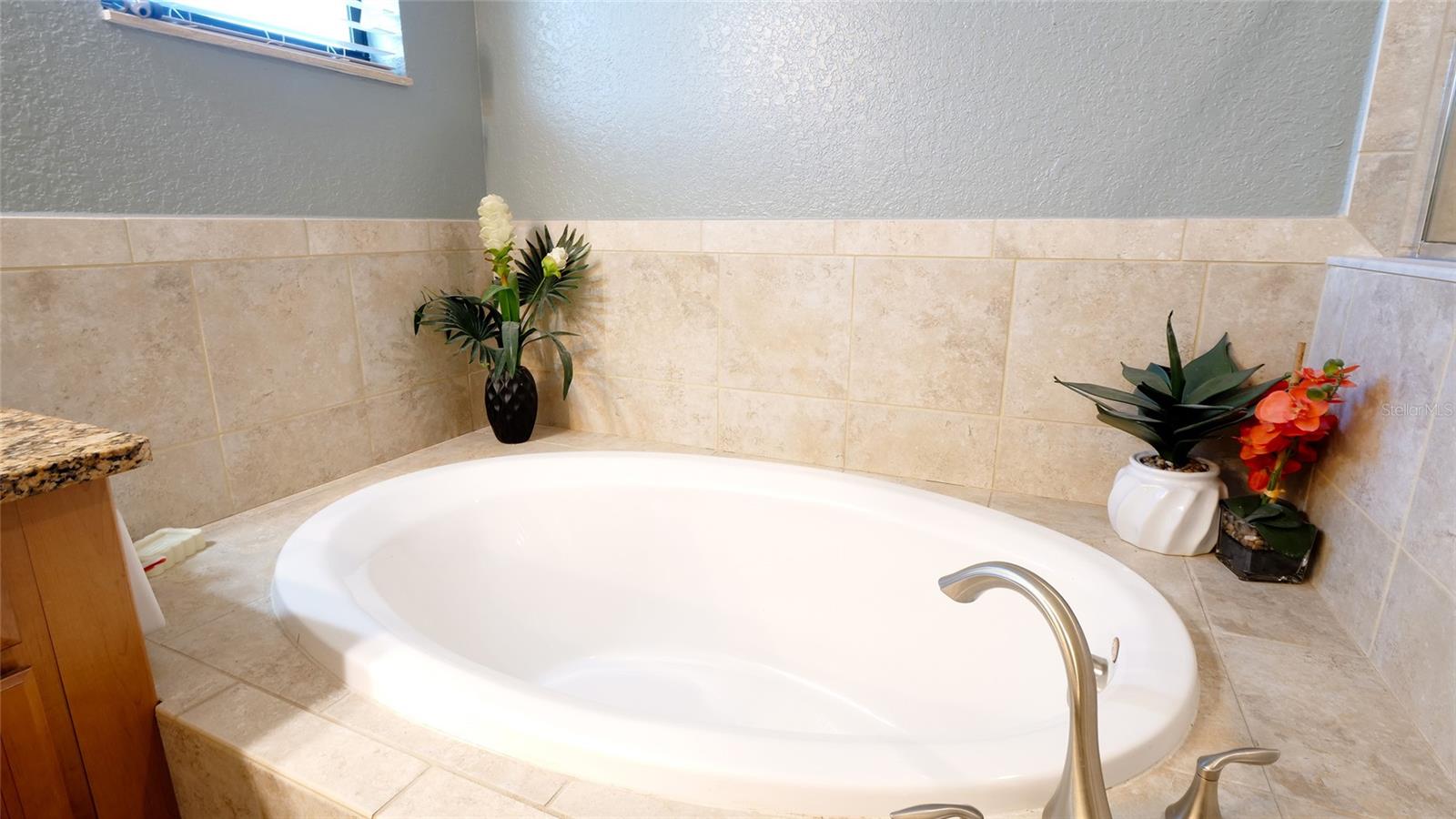 Image 33 of 44 For 3504 Savanna Palms Court