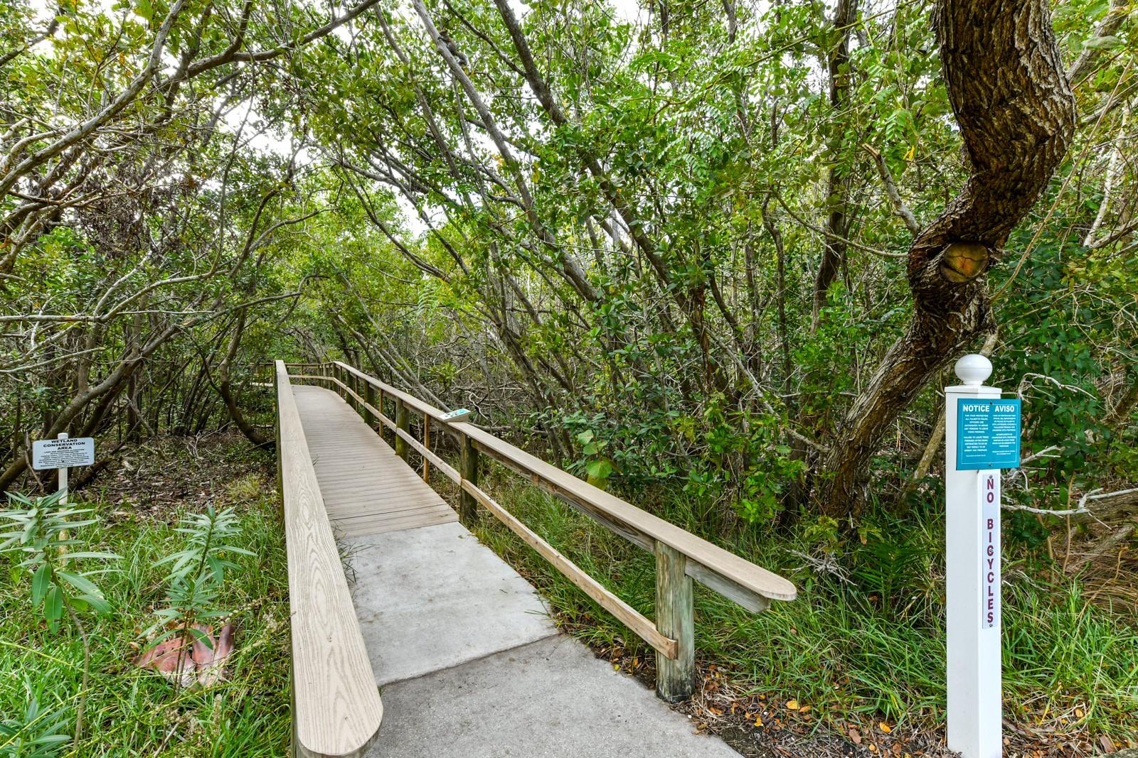 Image 62 of 69 For 1505 Terra Ceia Bay Circle 39