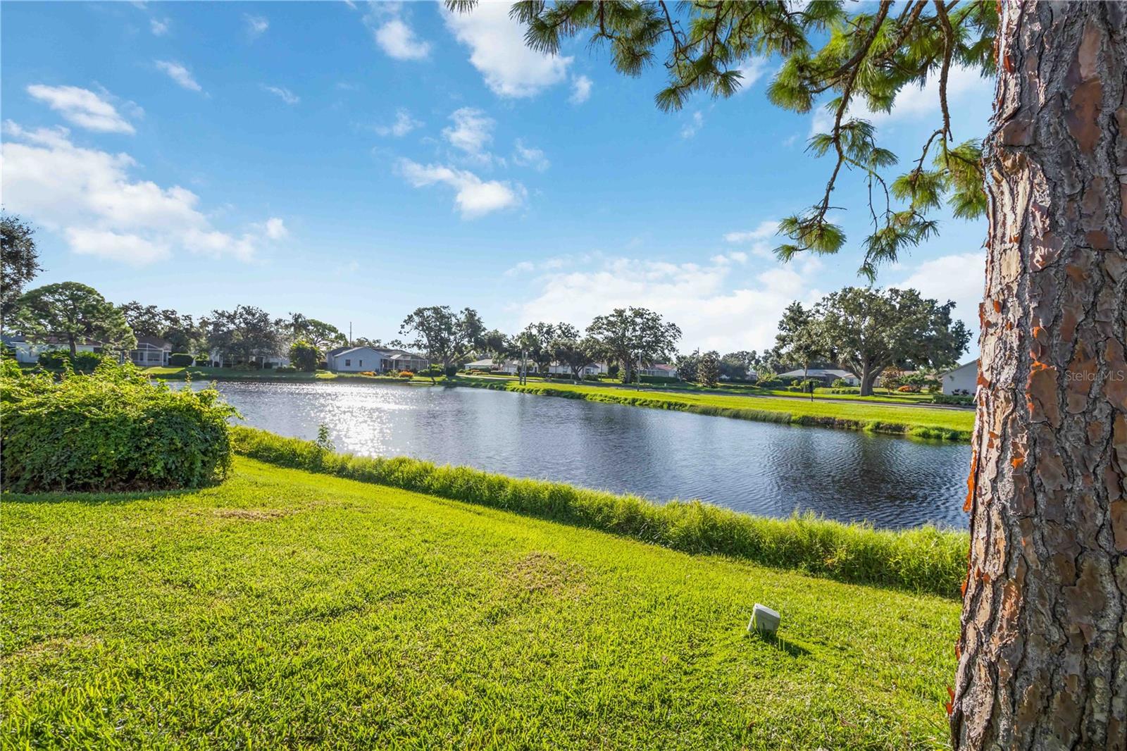 Image 47 of 73 For 4223 Balmoral Way