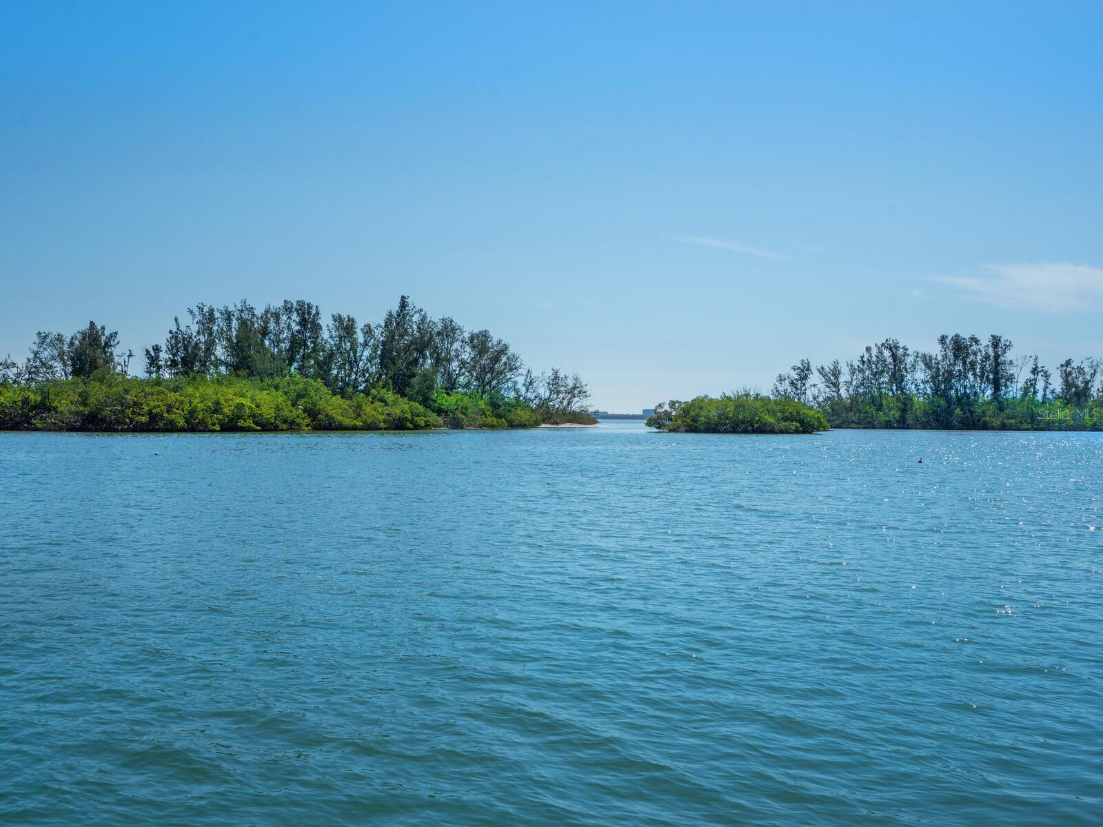 Image 16 of 59 For 894 Freeling Drive