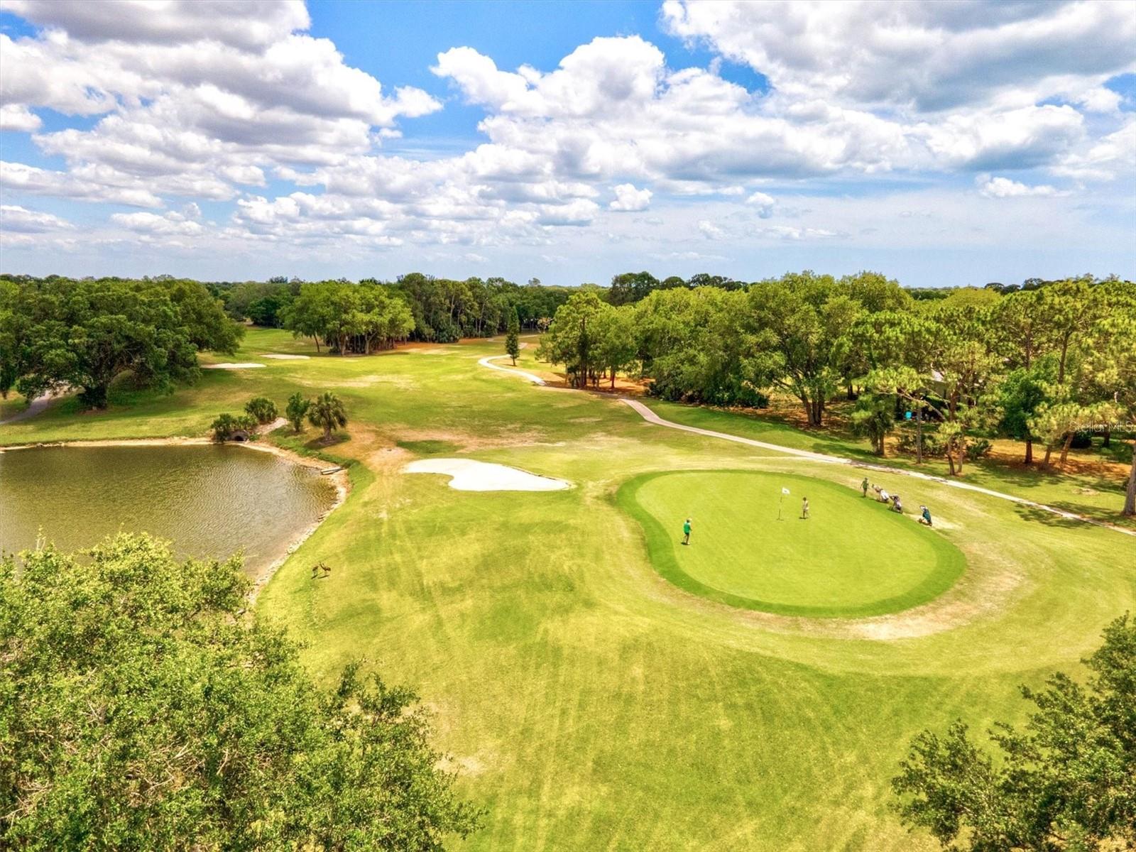 Image 91 of 98 For 2042 Timucua Trail