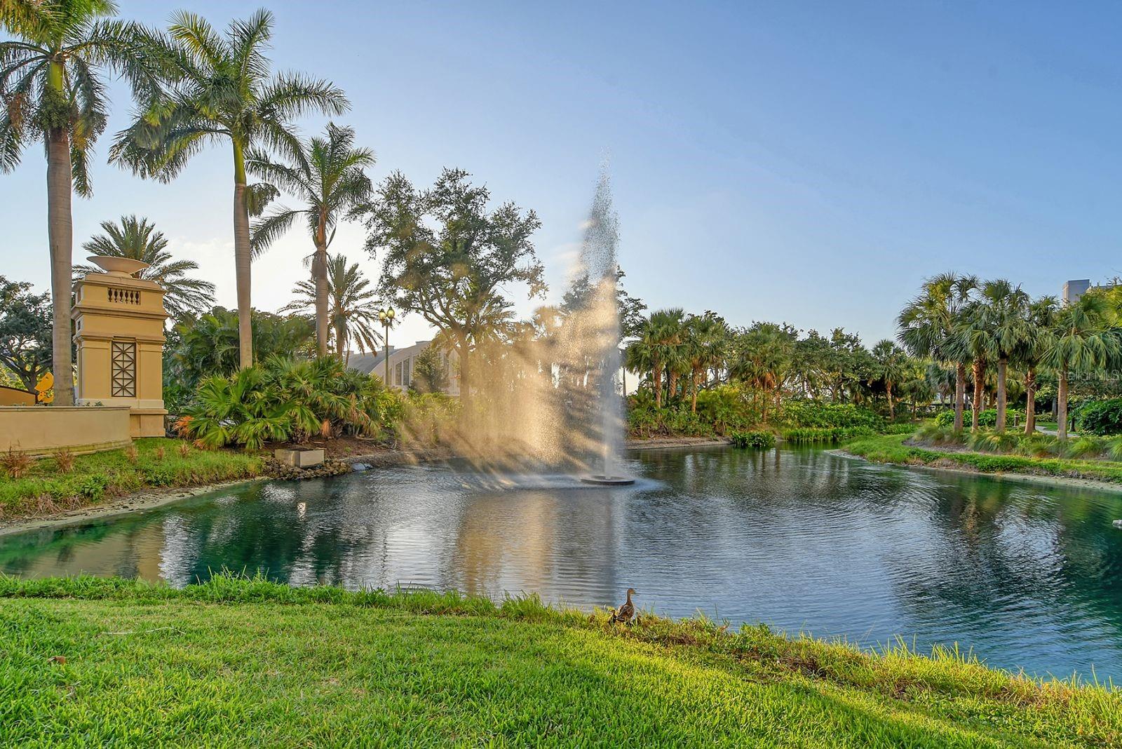 Image 54 of 60 For 800 Tamiami Trail 1506