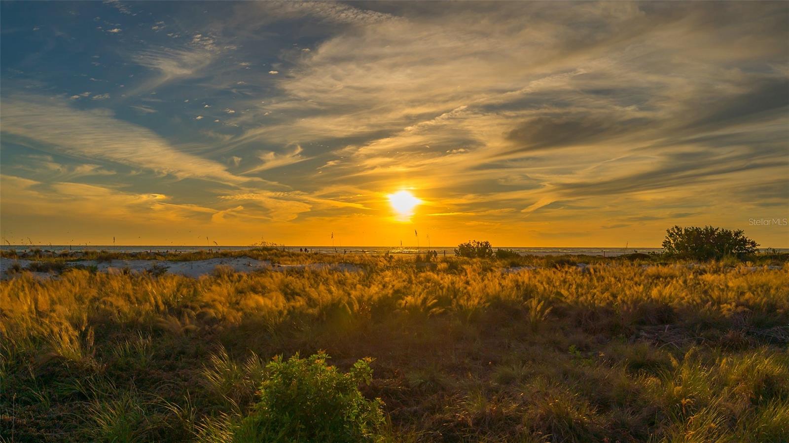 Image 54 of 58 For 5819 Cavano Drive