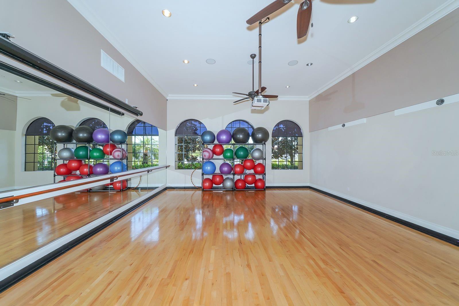 Image 47 of 66 For 462 Montelluna Drive 4