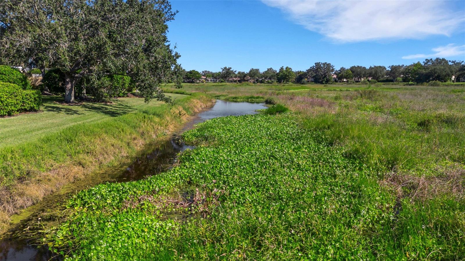 Image 55 of 72 For 7860 Bergamo Avenue