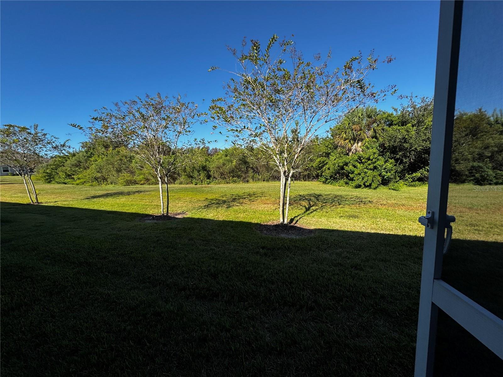 Image 42 of 46 For 11665 Rolling Green Drive