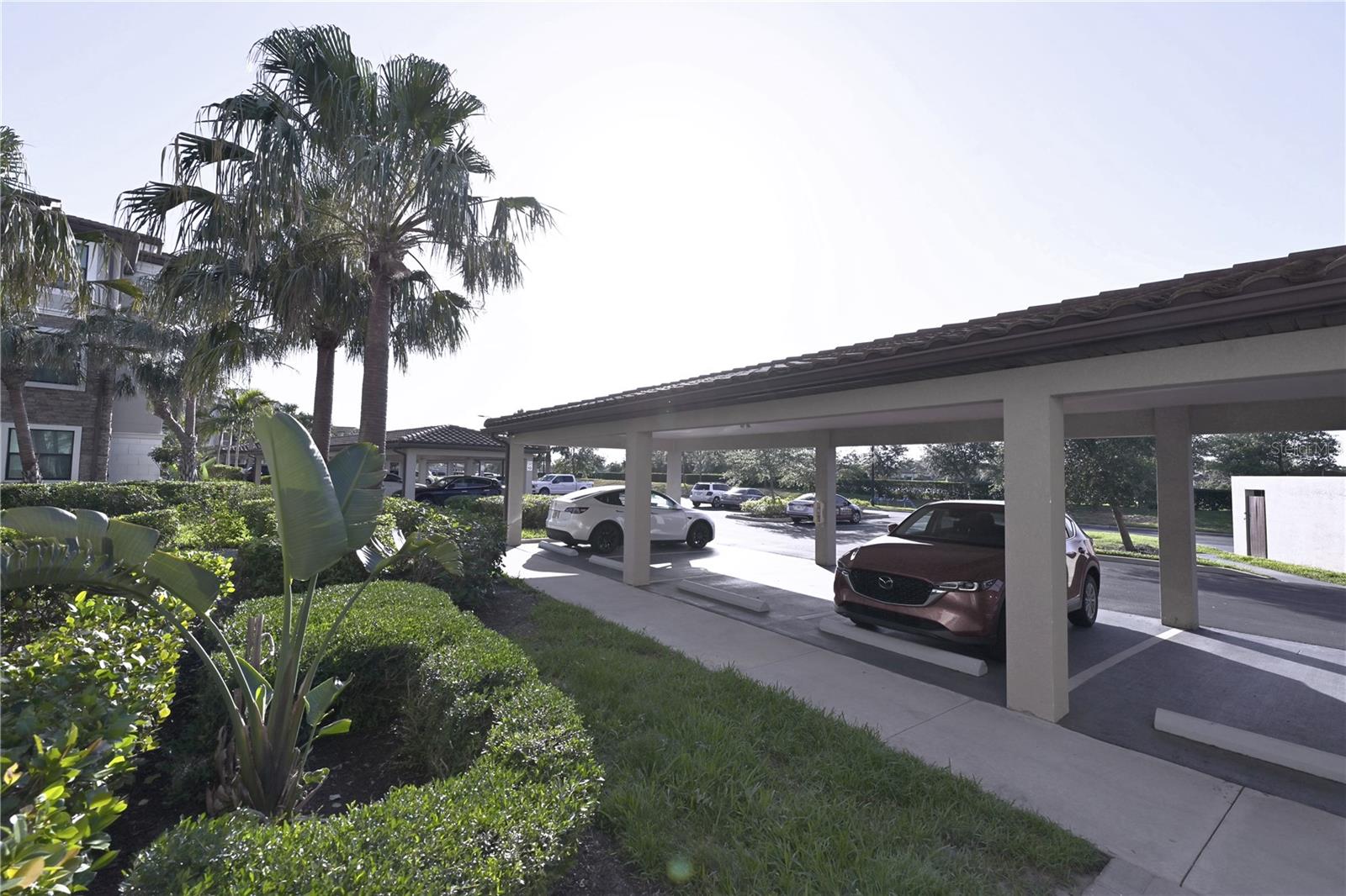 Image 3 of 50 For 16904 Vardon Terrace 208