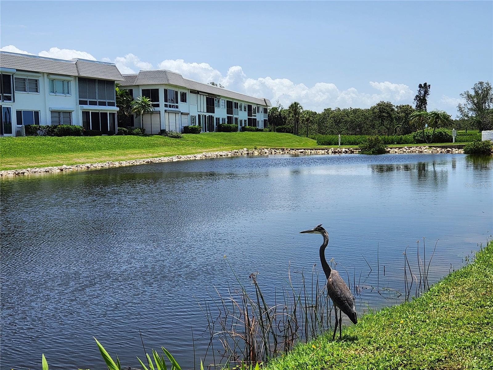 Image 42 of 75 For 4832 Independence Drive