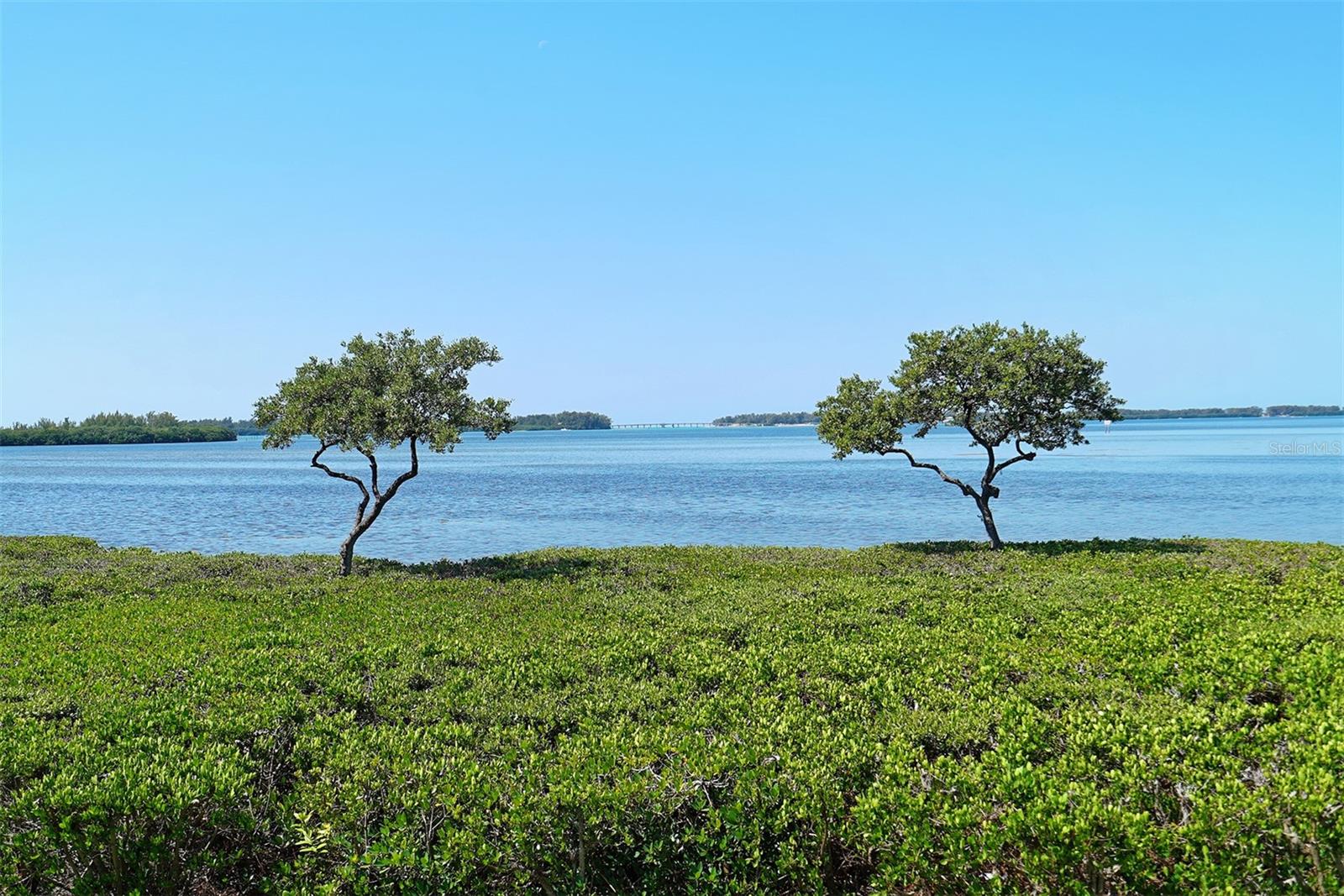 Image 61 of 75 For 4832 Independence Drive