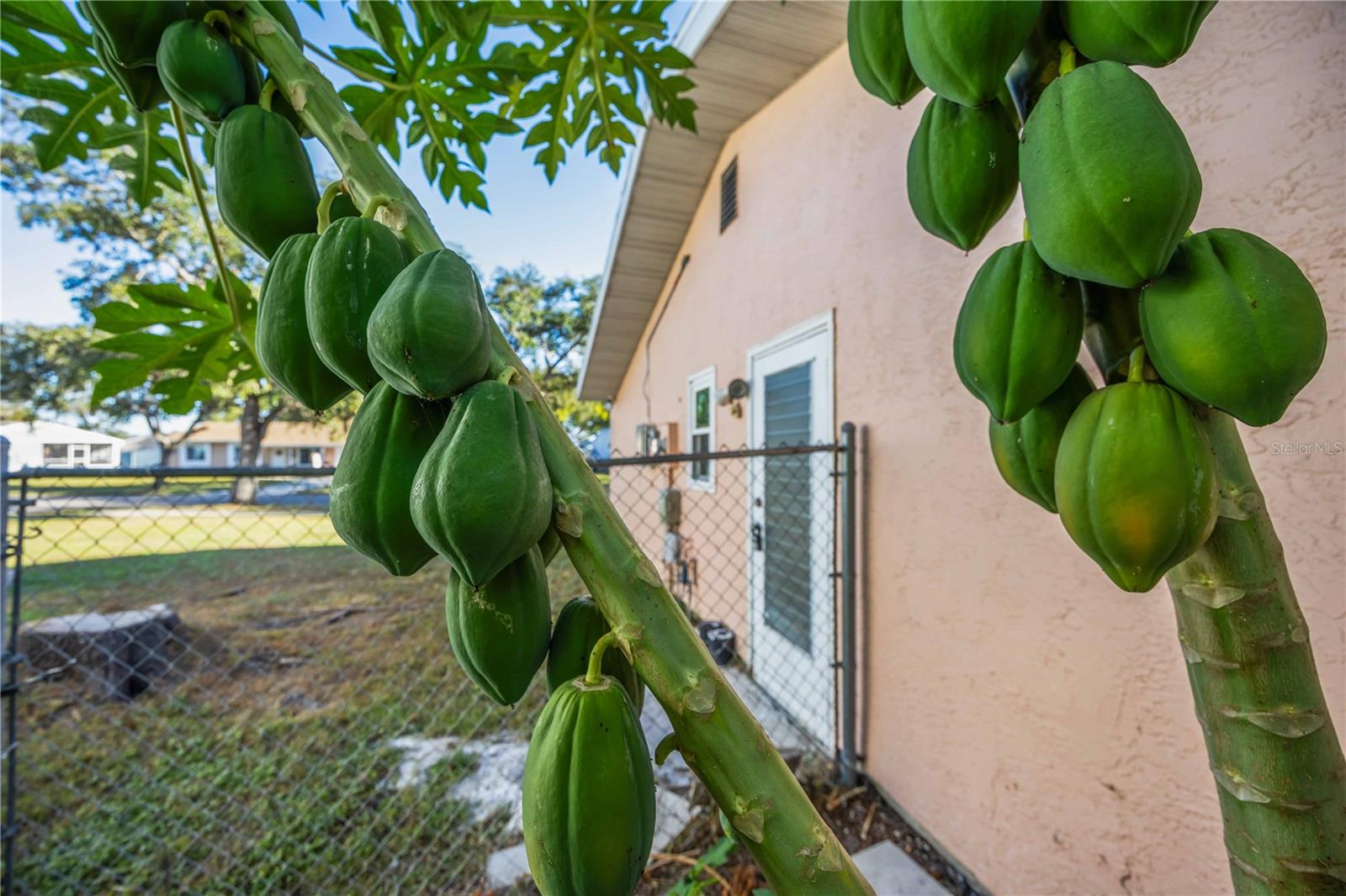 Image 39 of 56 For 4413 Mckibben Drive