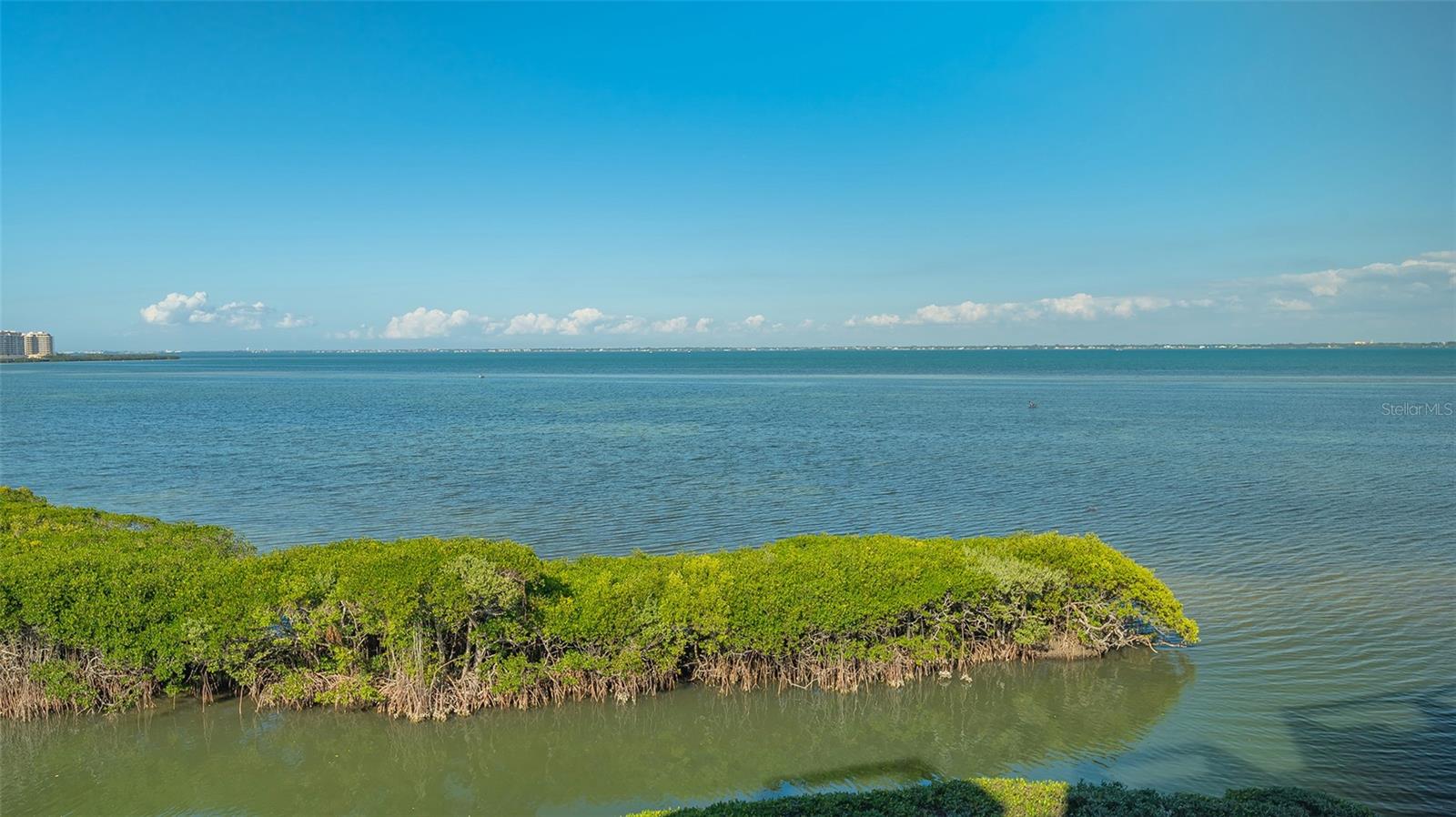 Image 34 of 66 For 2020 Harbourside Drive 432