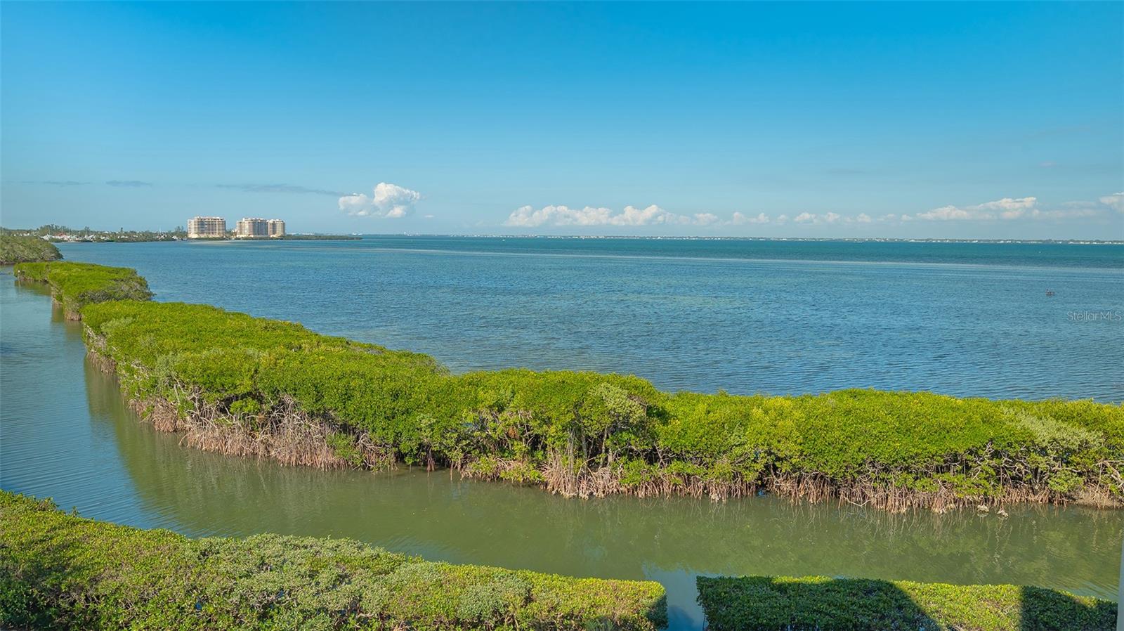 Image 35 of 66 For 2020 Harbourside Drive 432