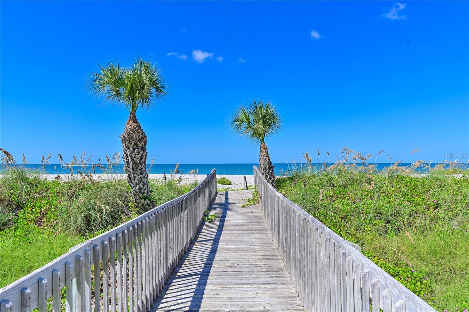 Image 25 of 36 For 852 Golden Beach Boulevard 852