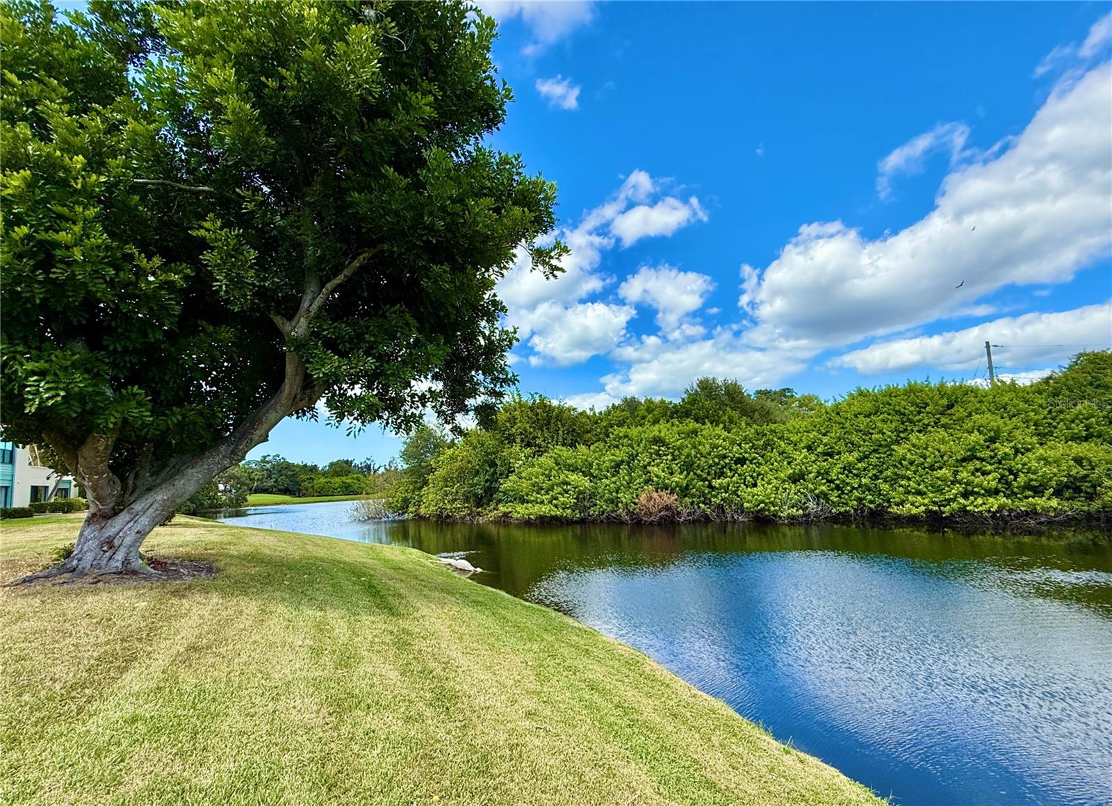 Image 12 of 63 For 621 Spring Lakes Boulevard 621