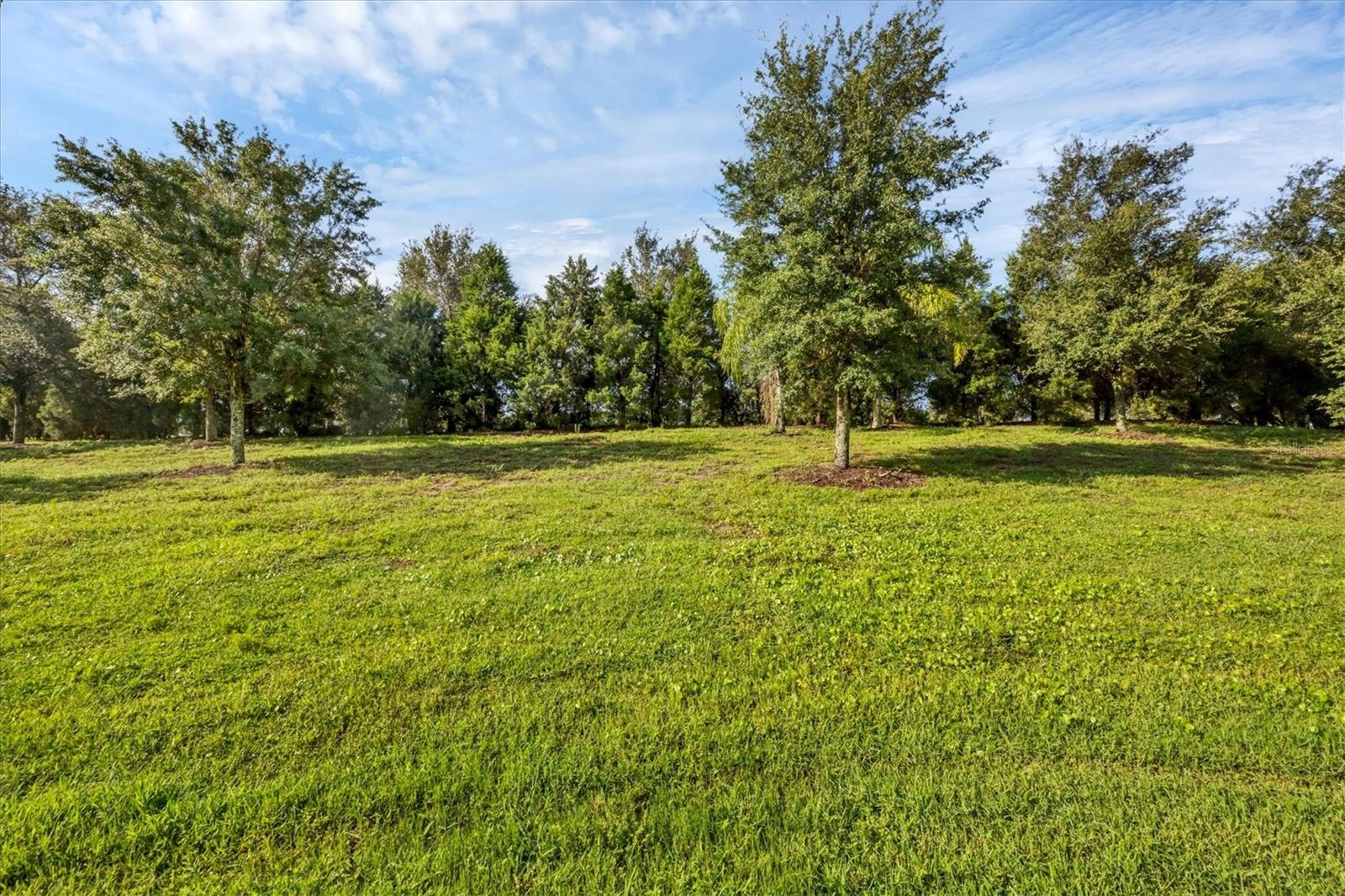 Image 36 of 51 For 13008 Deep Blue Place