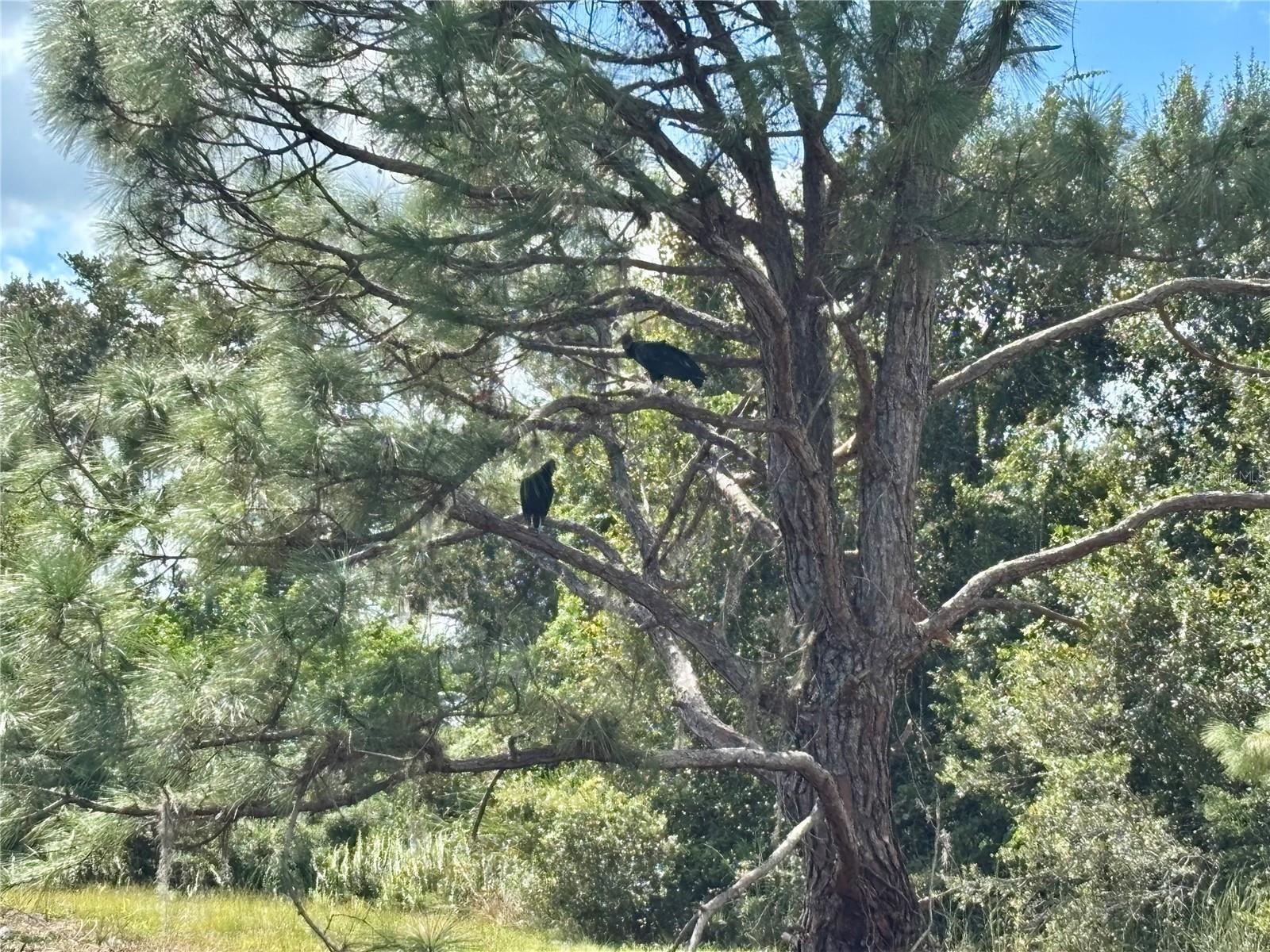 Image 58 of 61 For 1950 Bern Creek Loop