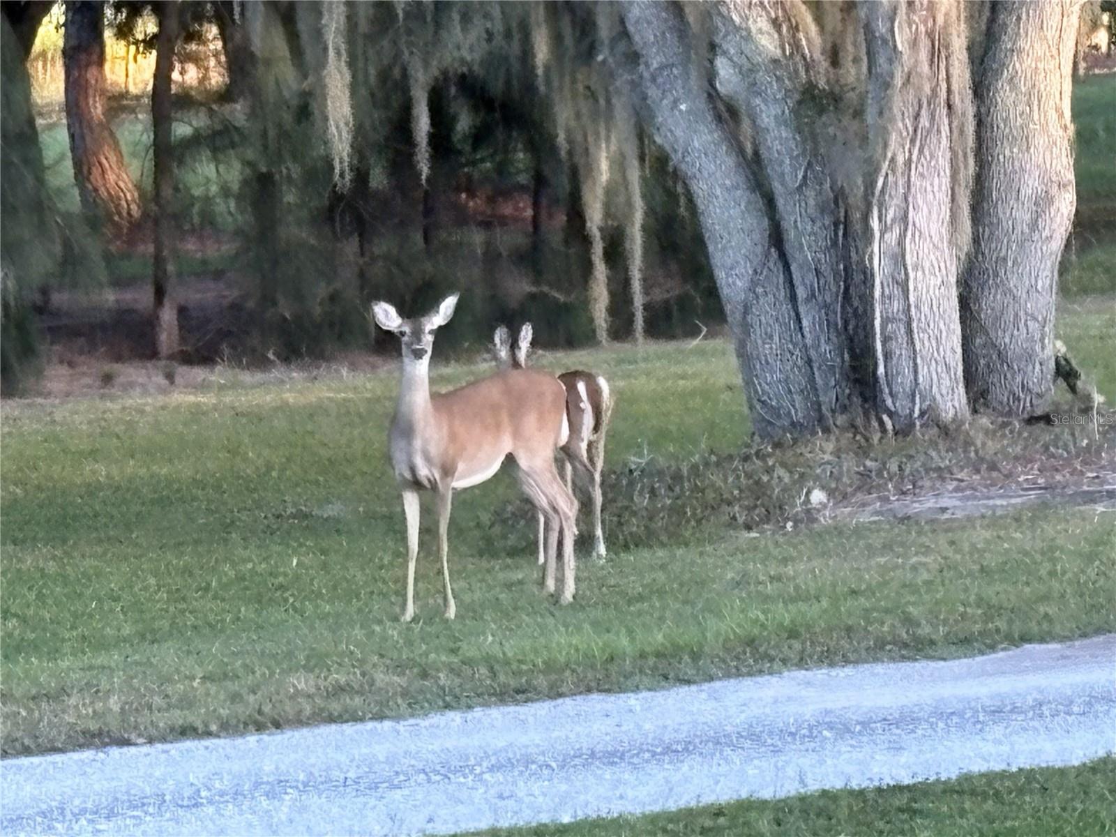 Image 59 of 61 For 1950 Bern Creek Loop