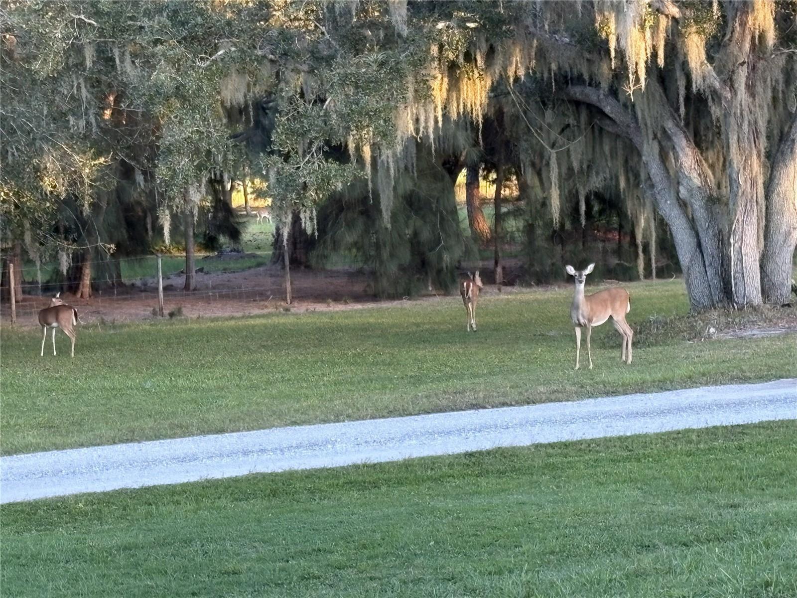 Image 60 of 61 For 1950 Bern Creek Loop