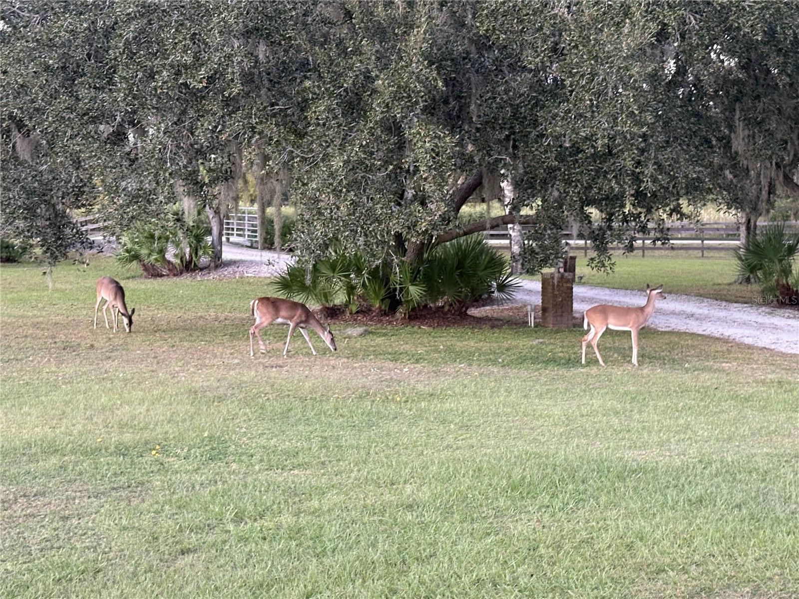 Image 61 of 61 For 1950 Bern Creek Loop