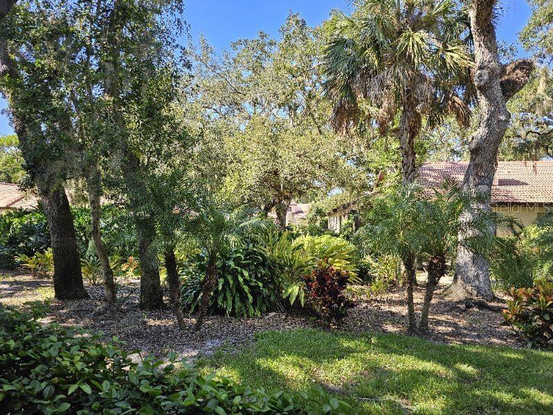 Image 32 of 94 For 7254 Oak Moss Drive 72