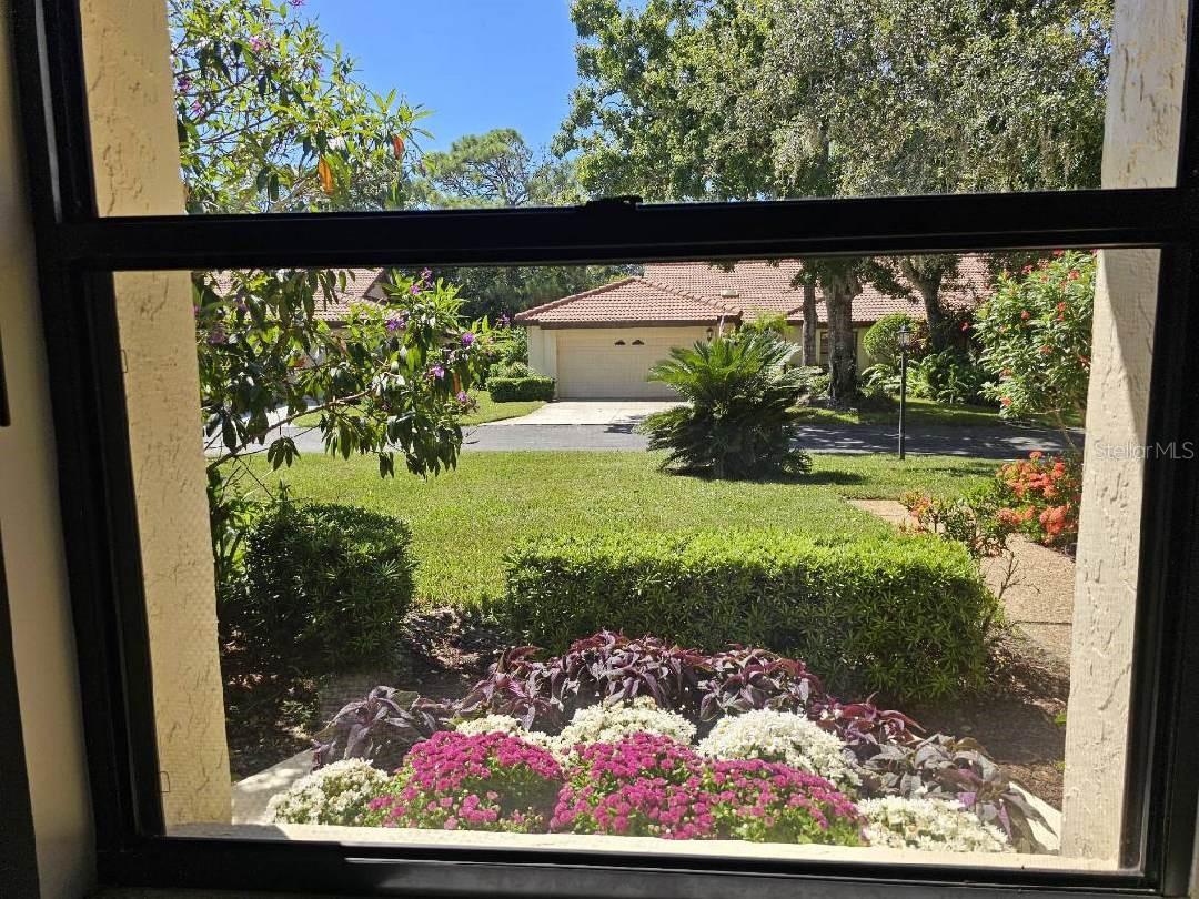 Image 50 of 94 For 7254 Oak Moss Drive 72