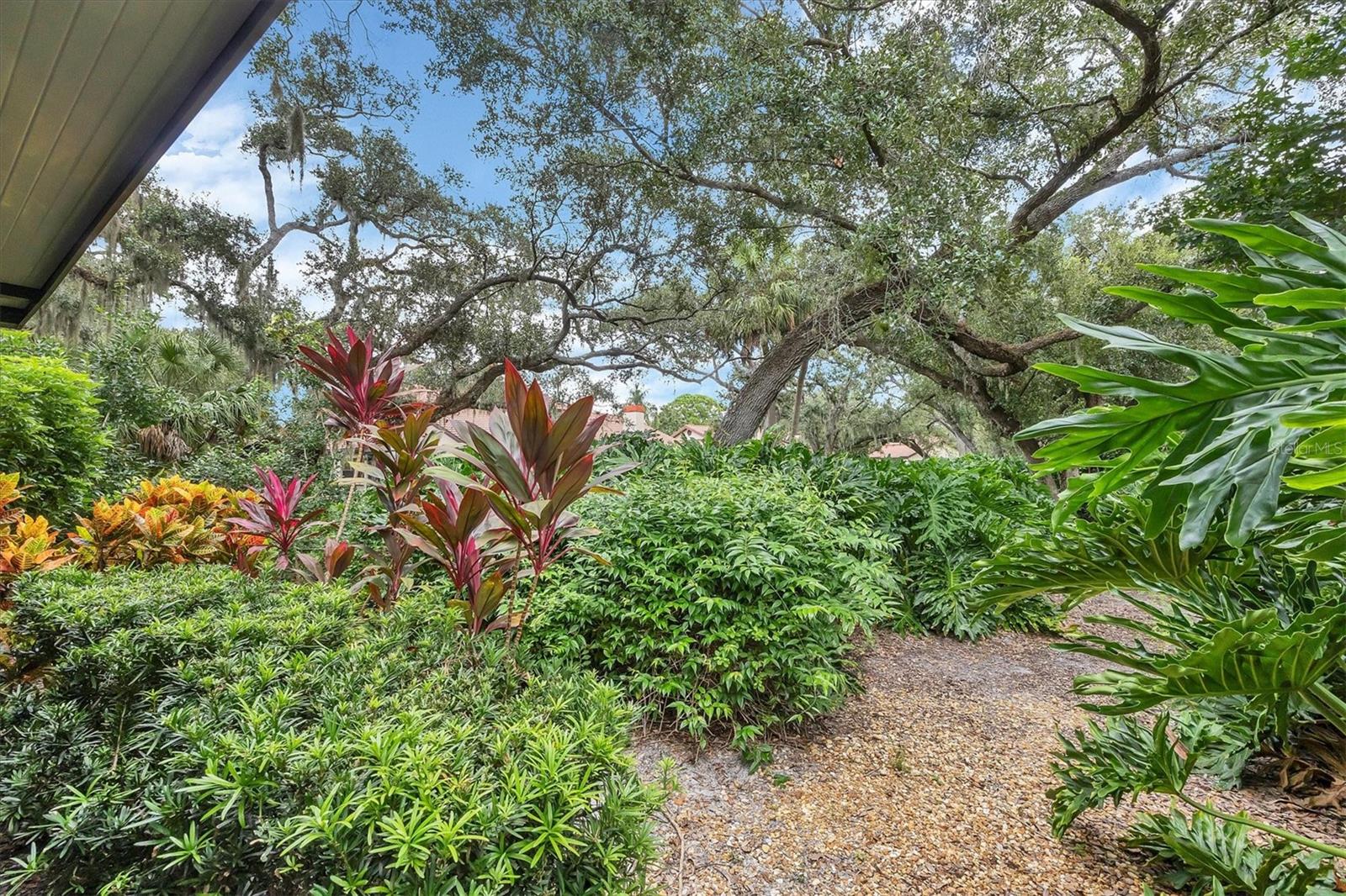 Image 65 of 94 For 7254 Oak Moss Drive 72