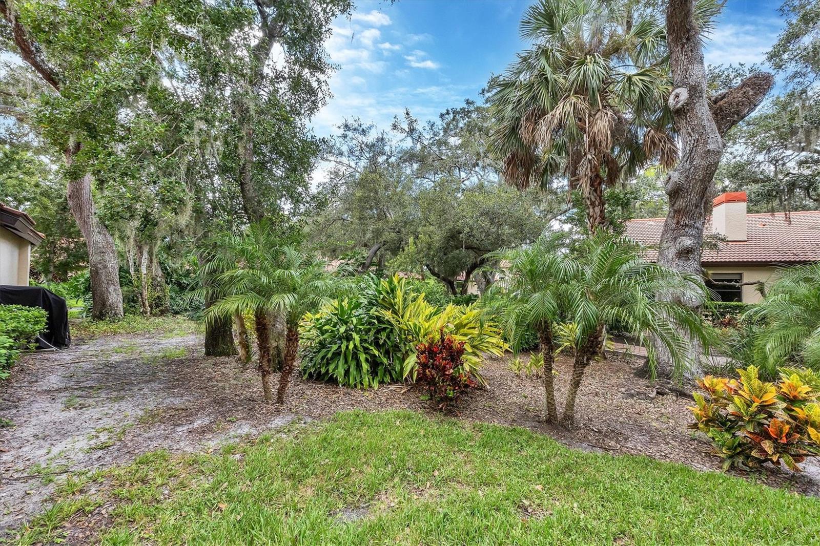 Image 66 of 94 For 7254 Oak Moss Drive 72