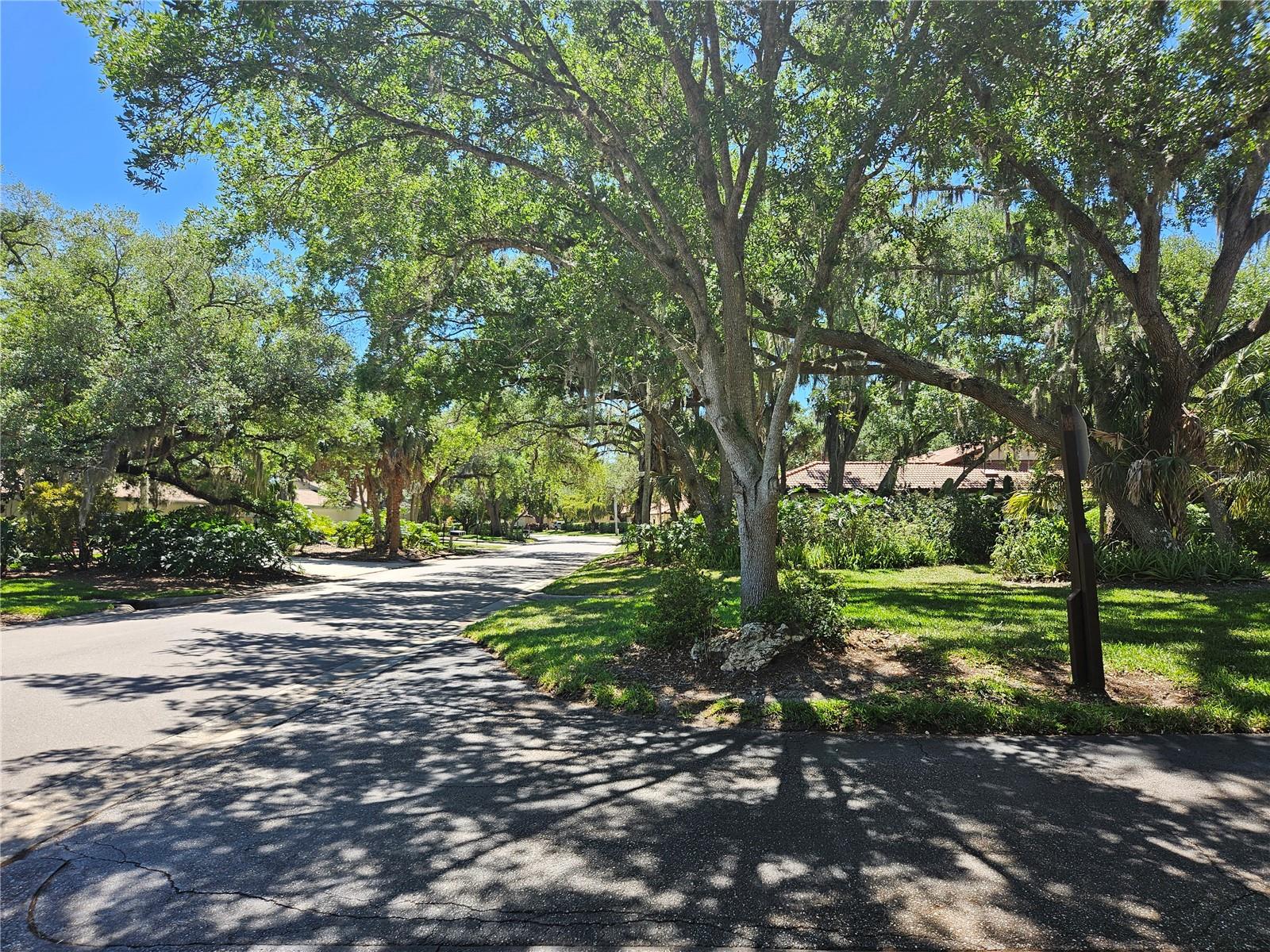 Image 90 of 94 For 7254 Oak Moss Drive 72