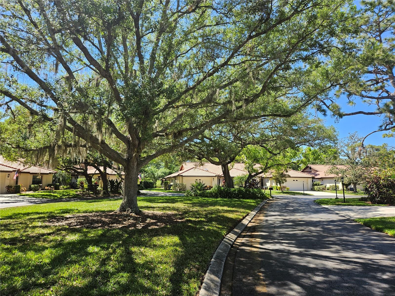 Image 91 of 94 For 7254 Oak Moss Drive 72