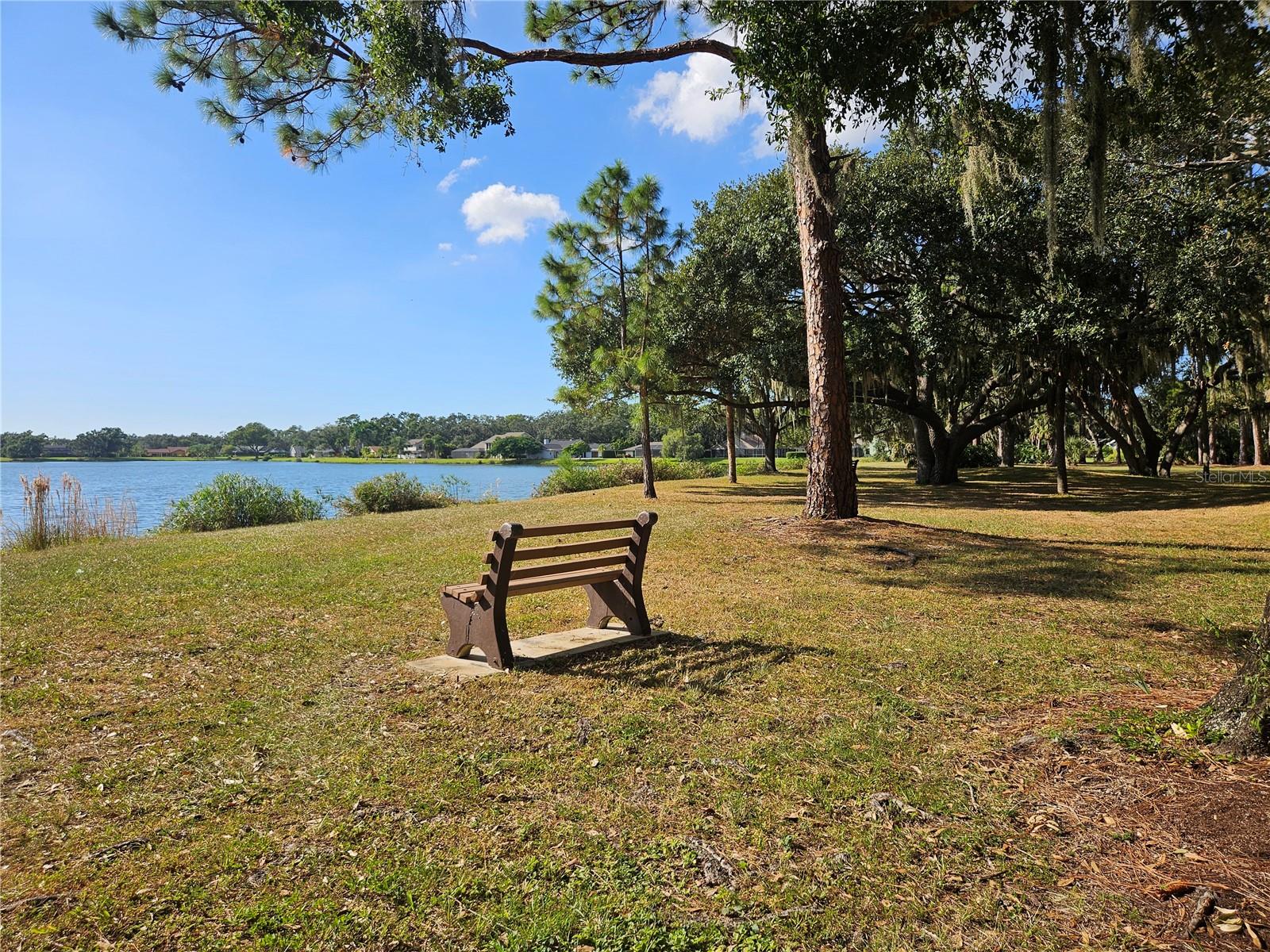 Image 92 of 94 For 7254 Oak Moss Drive 72