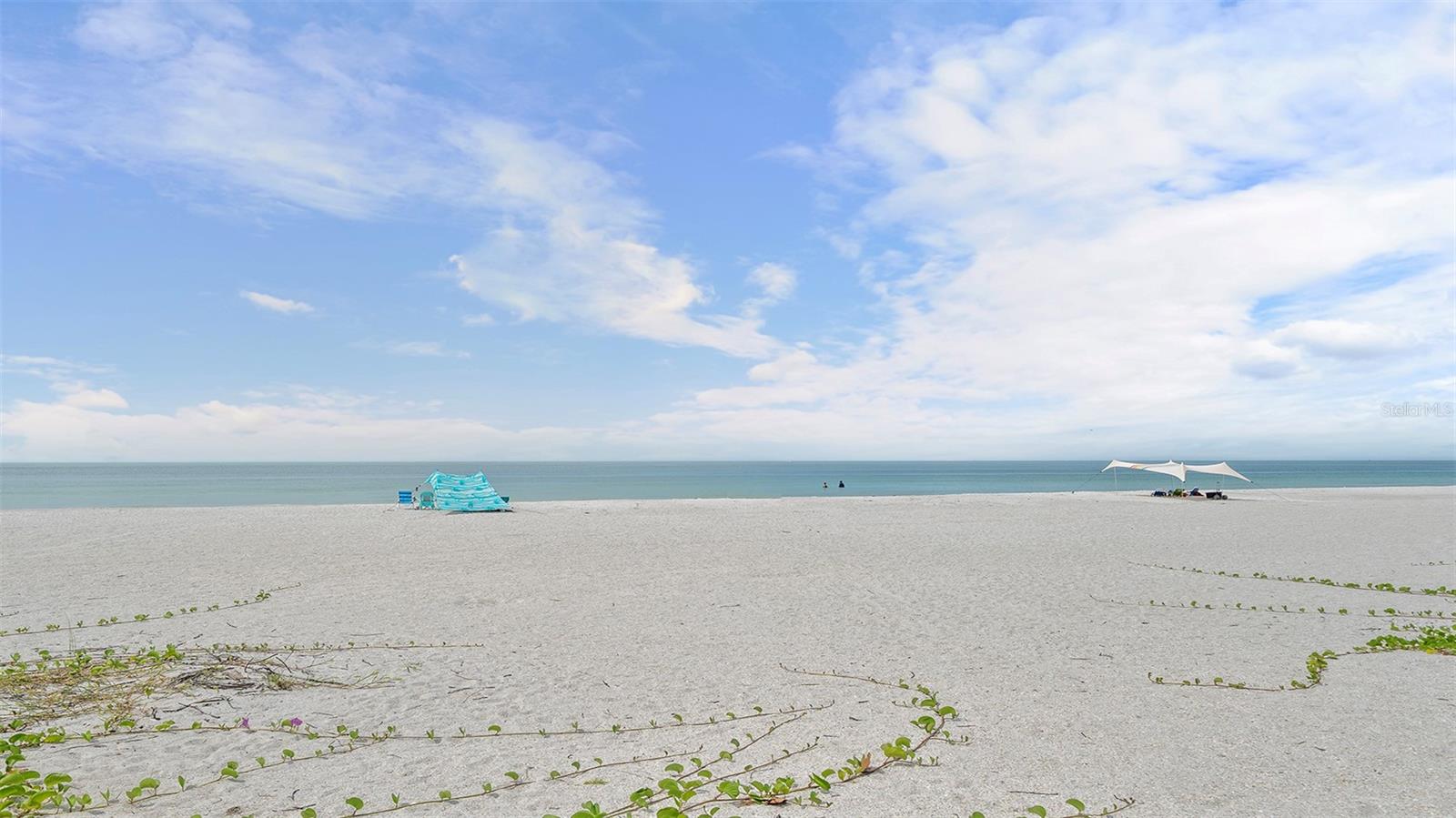 Image 48 of 52 For 100 73rd Street 104a