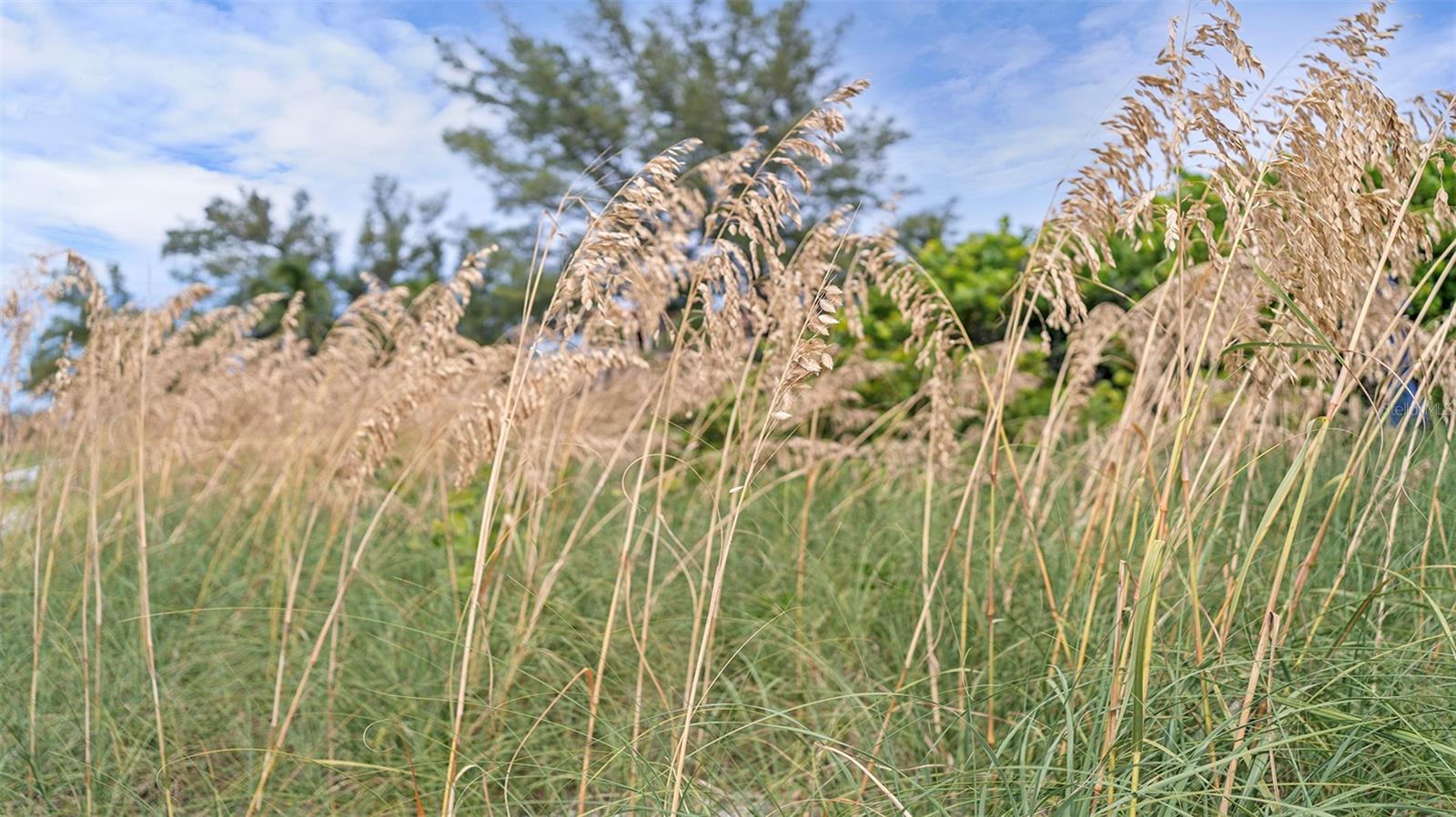 Image 50 of 52 For 100 73rd Street 104a