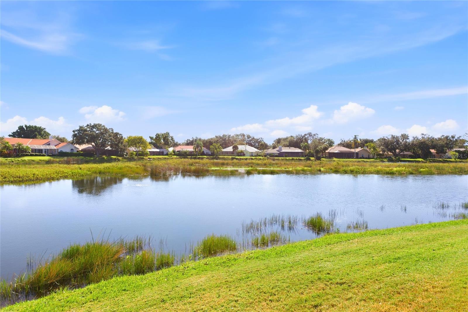 Image 47 of 55 For 4544 Longspur Lane