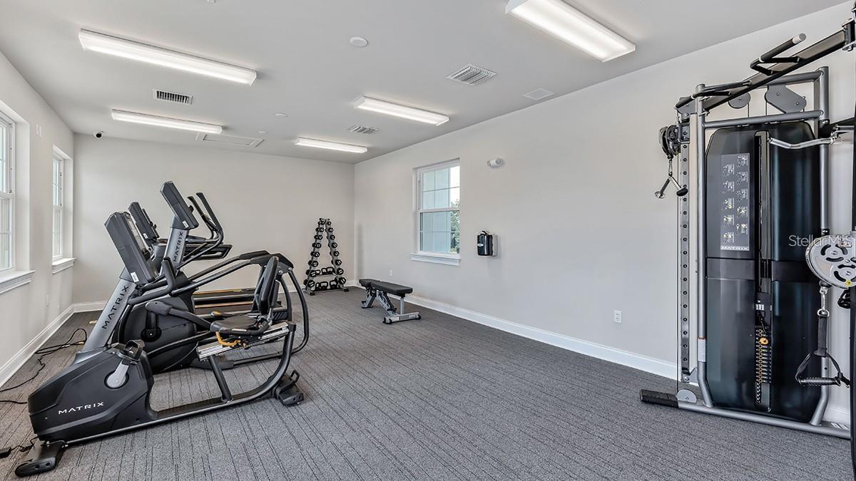 Image 25 of 27 For 636 Ibiza Loop