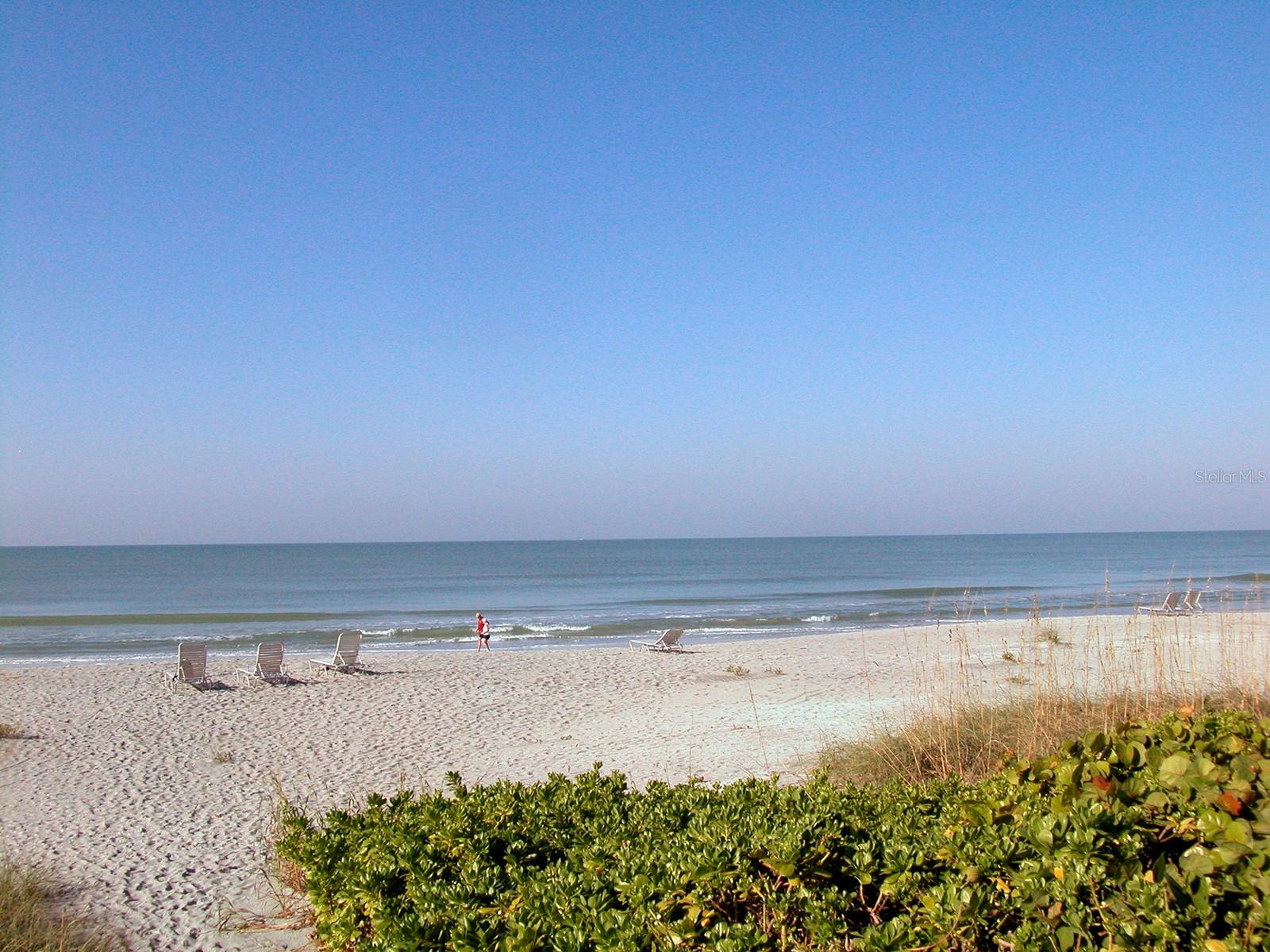 Image 33 of 36 For 4545 Gulf Of Mexico Drive 408