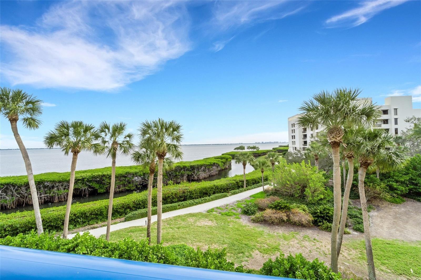 Image 5 of 64 For 2110 Harbourside Drive 526