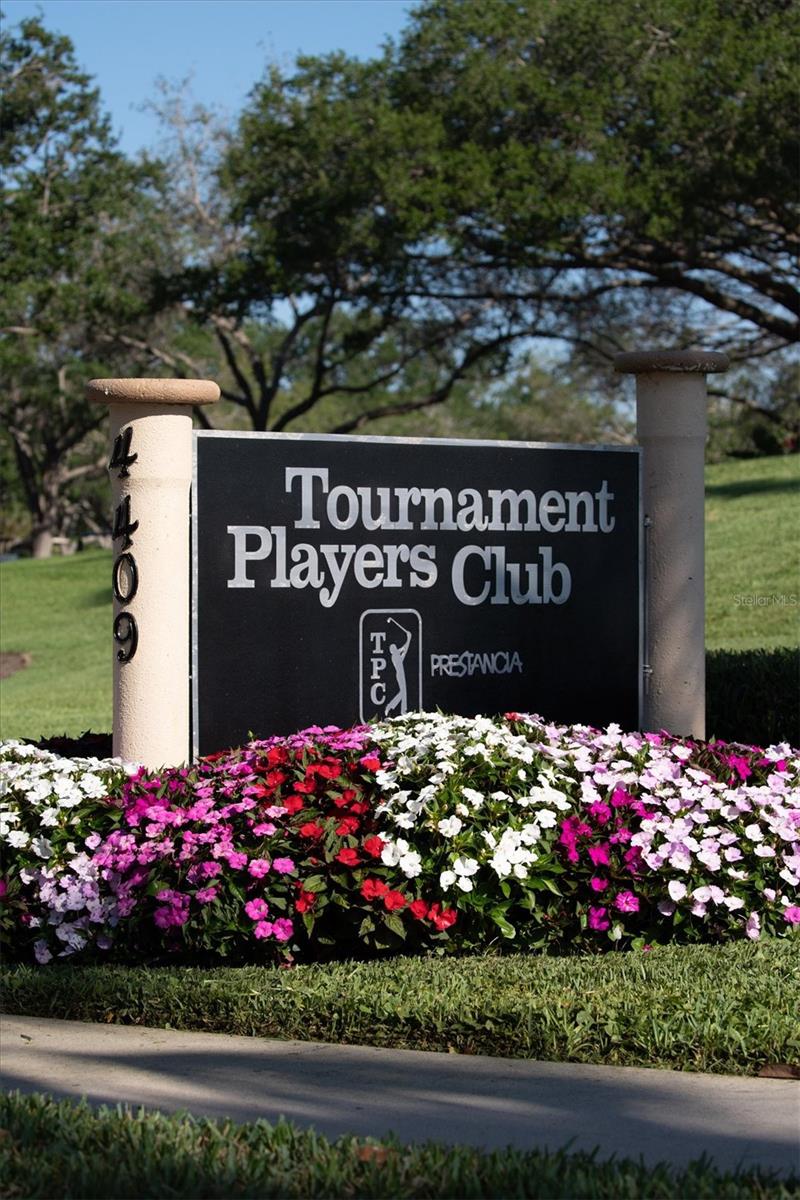 Image 53 of 69 For 7738 Calle Facil