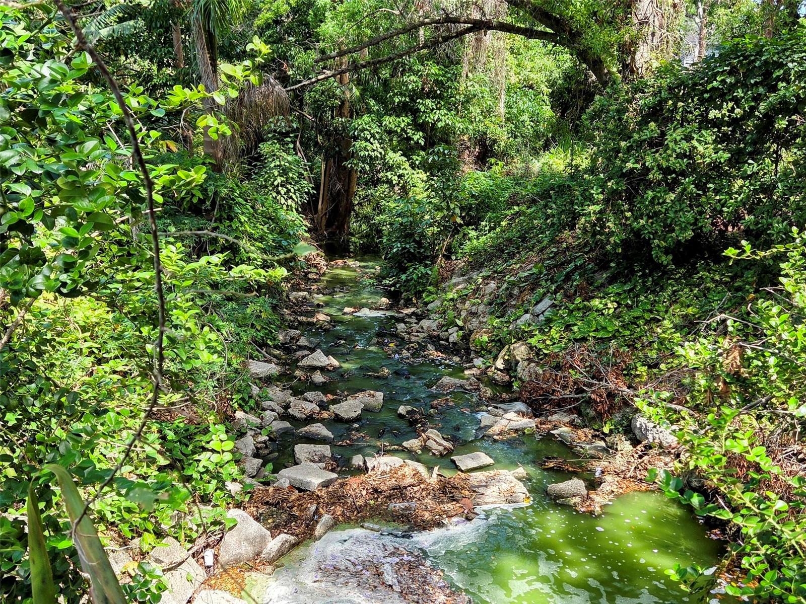 Image 11 of 37 For 215 48th Street Nw