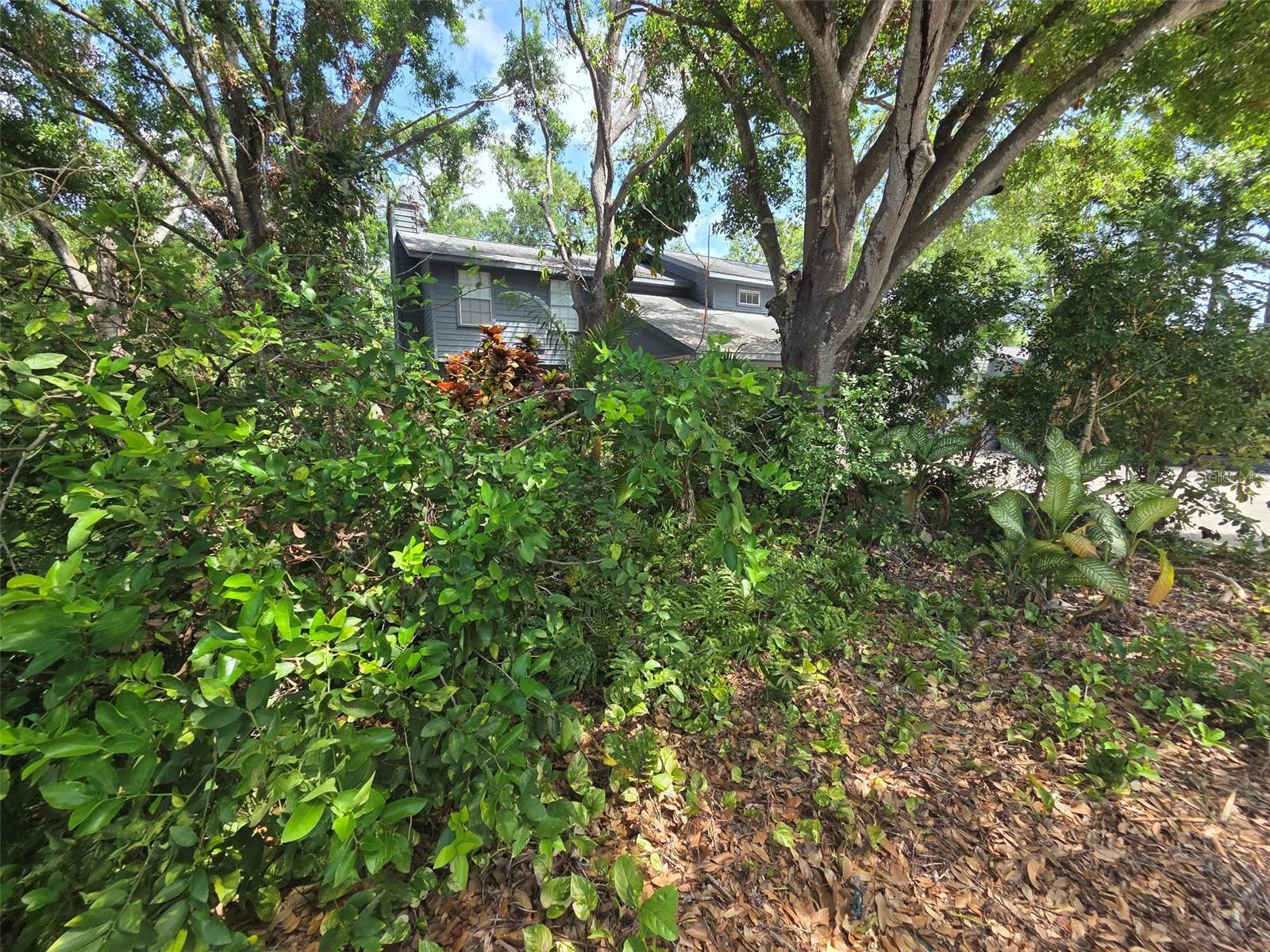 Image 9 of 37 For 215 48th Street Nw