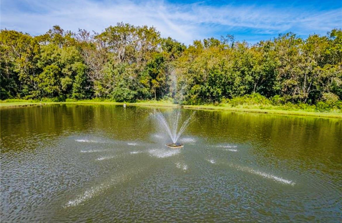 Image 37 of 59 For 1690 Colonnades Circle N